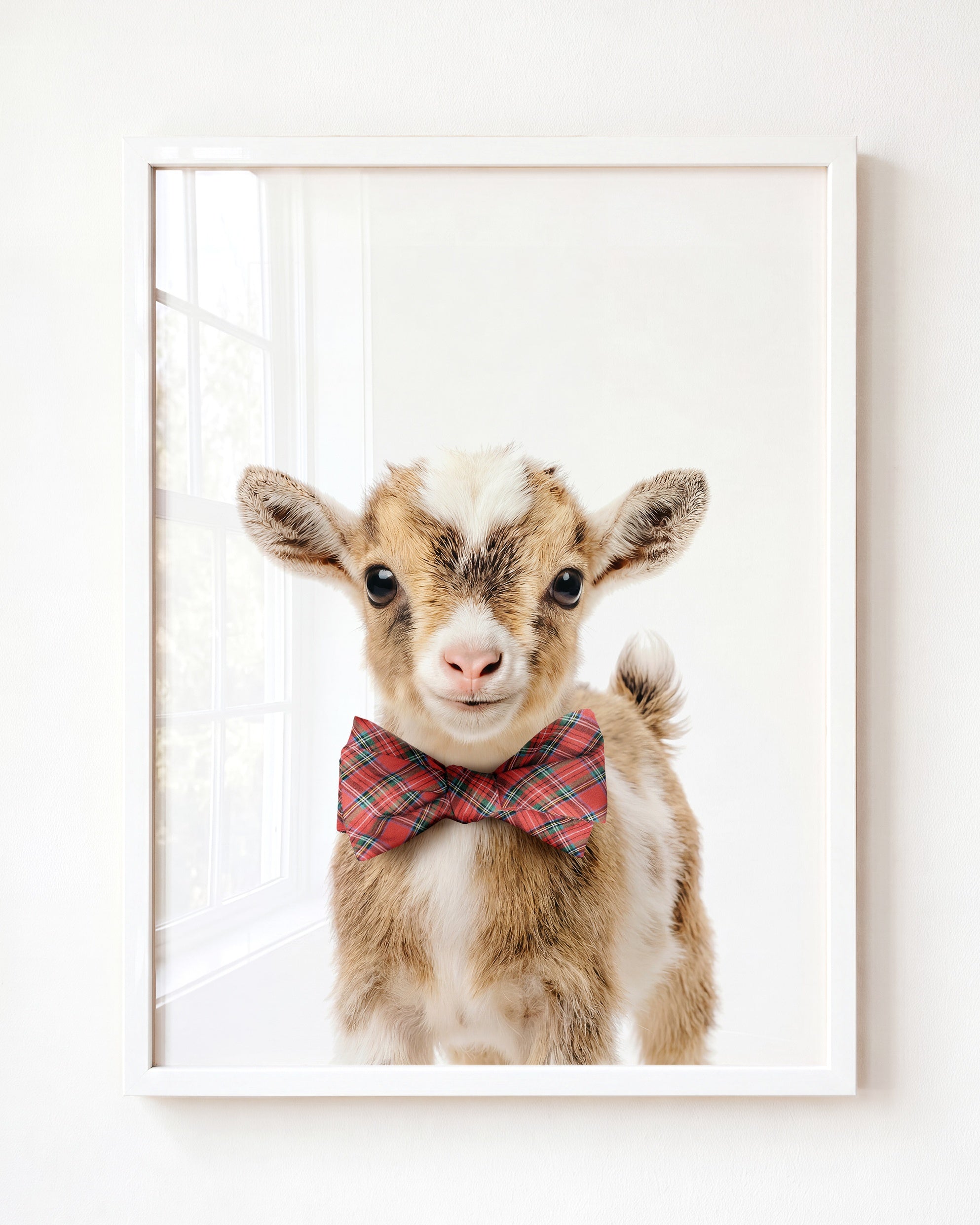Baby Goat