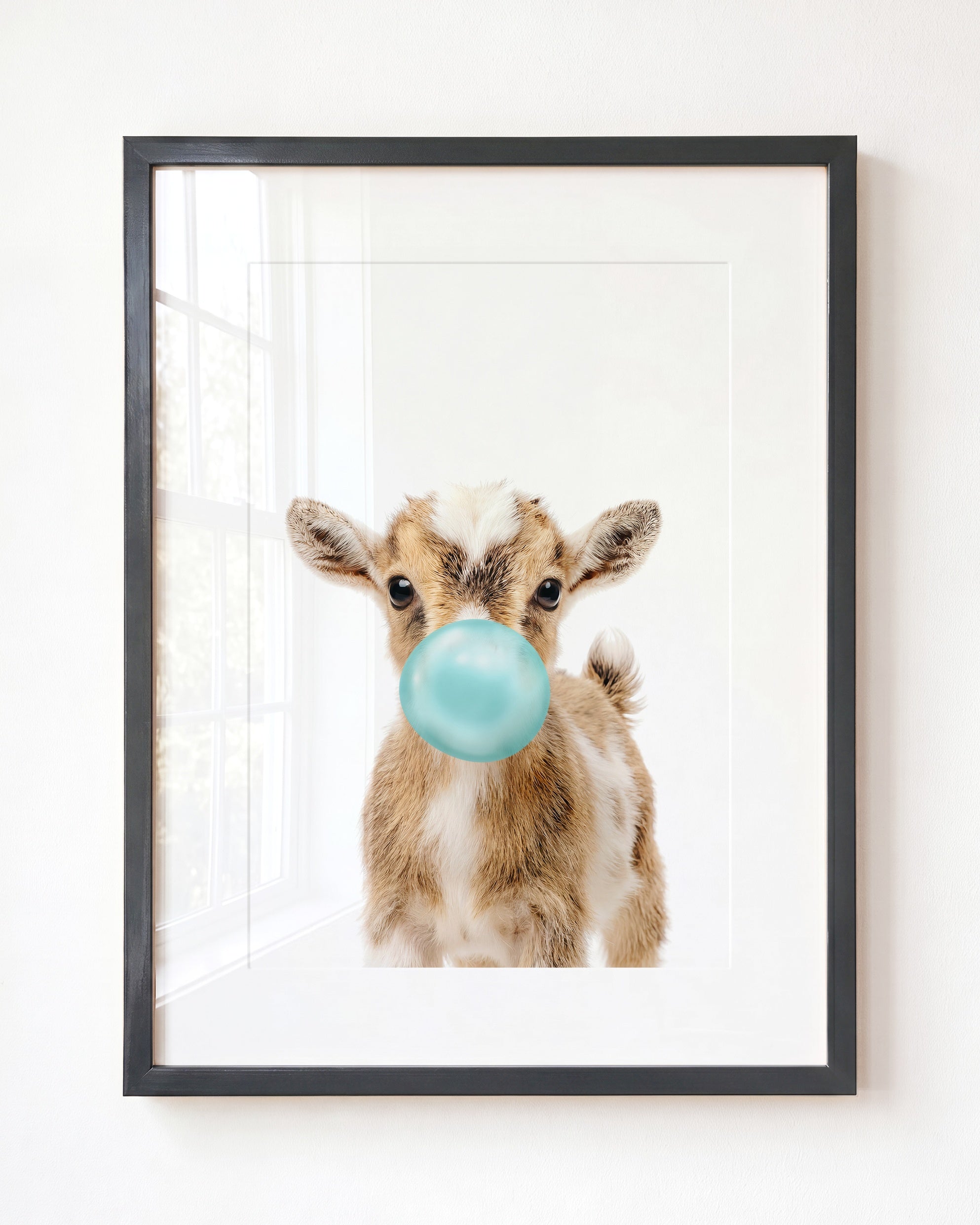 Baby Goat