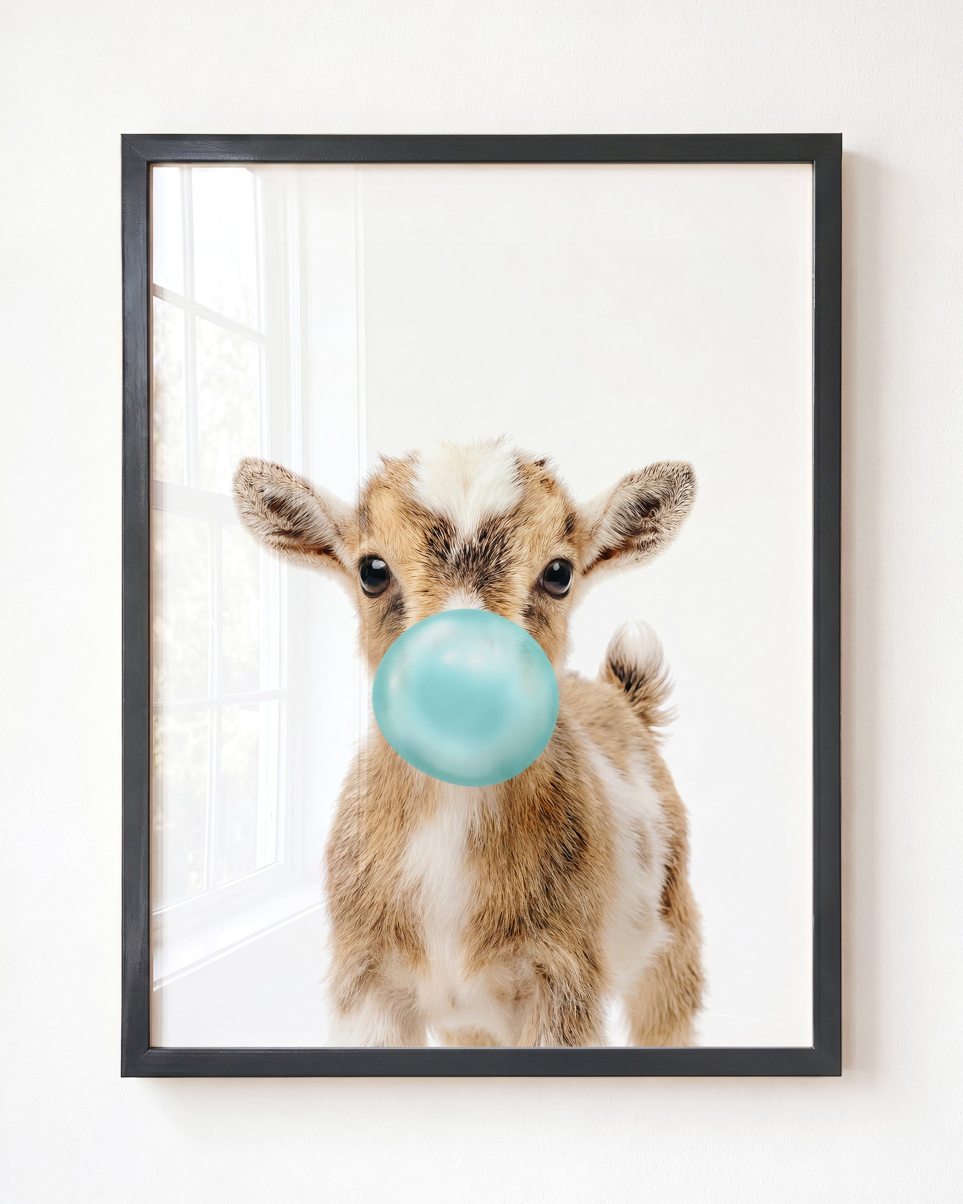 Baby Goat