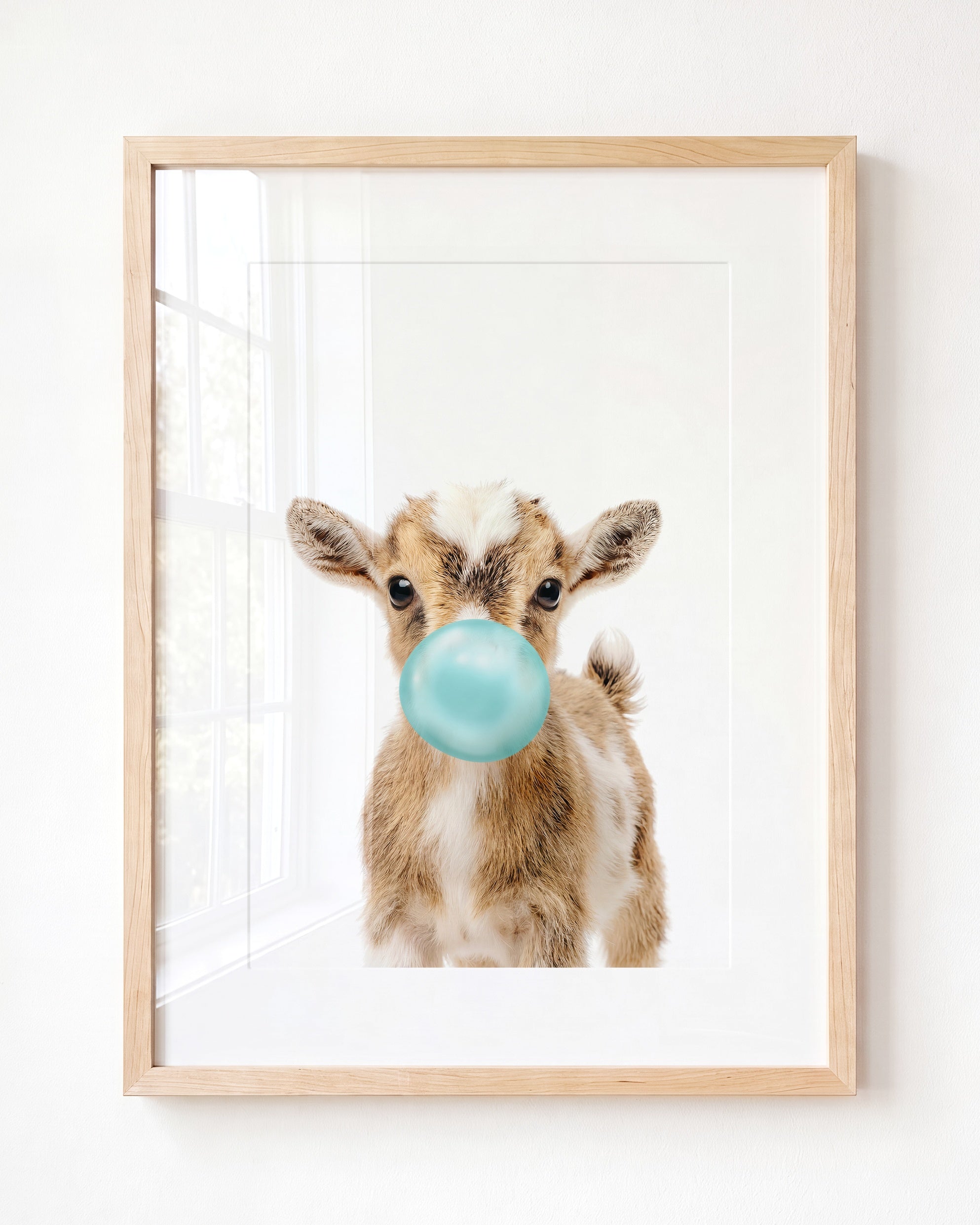 Baby Goat
