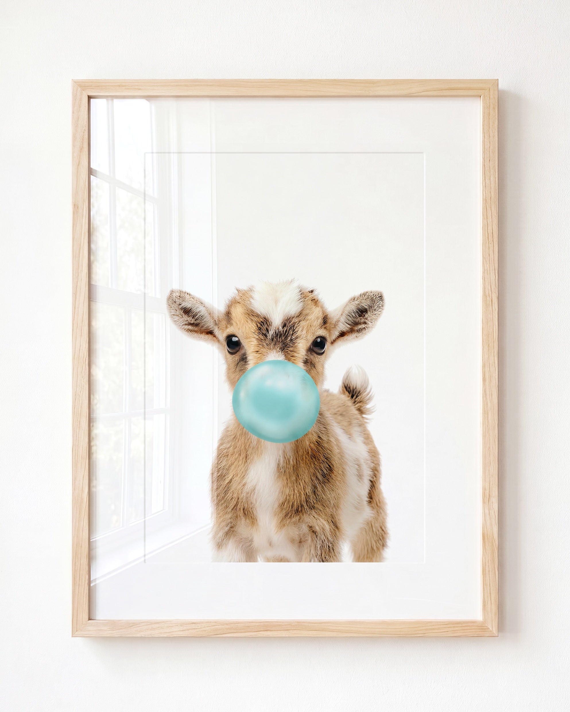 Baby Goat