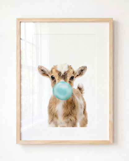 Baby Goat