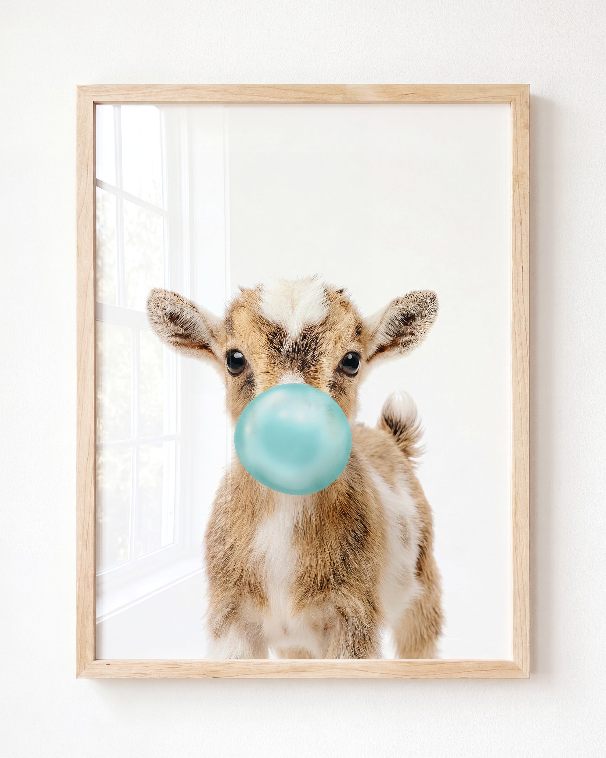 Baby Goat