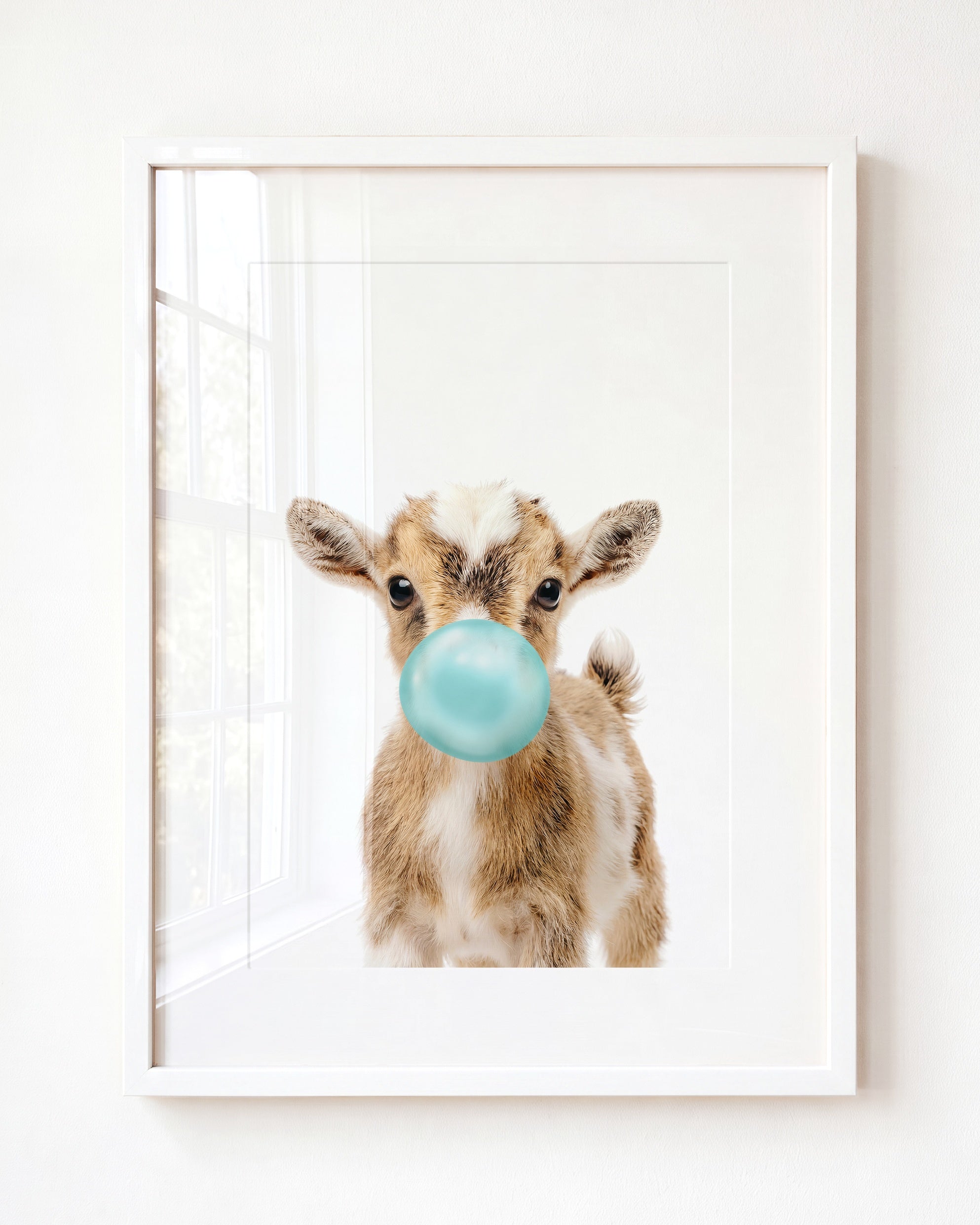 Baby Goat