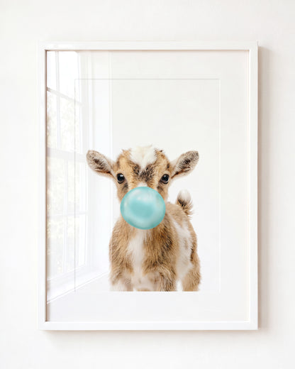 Baby Goat