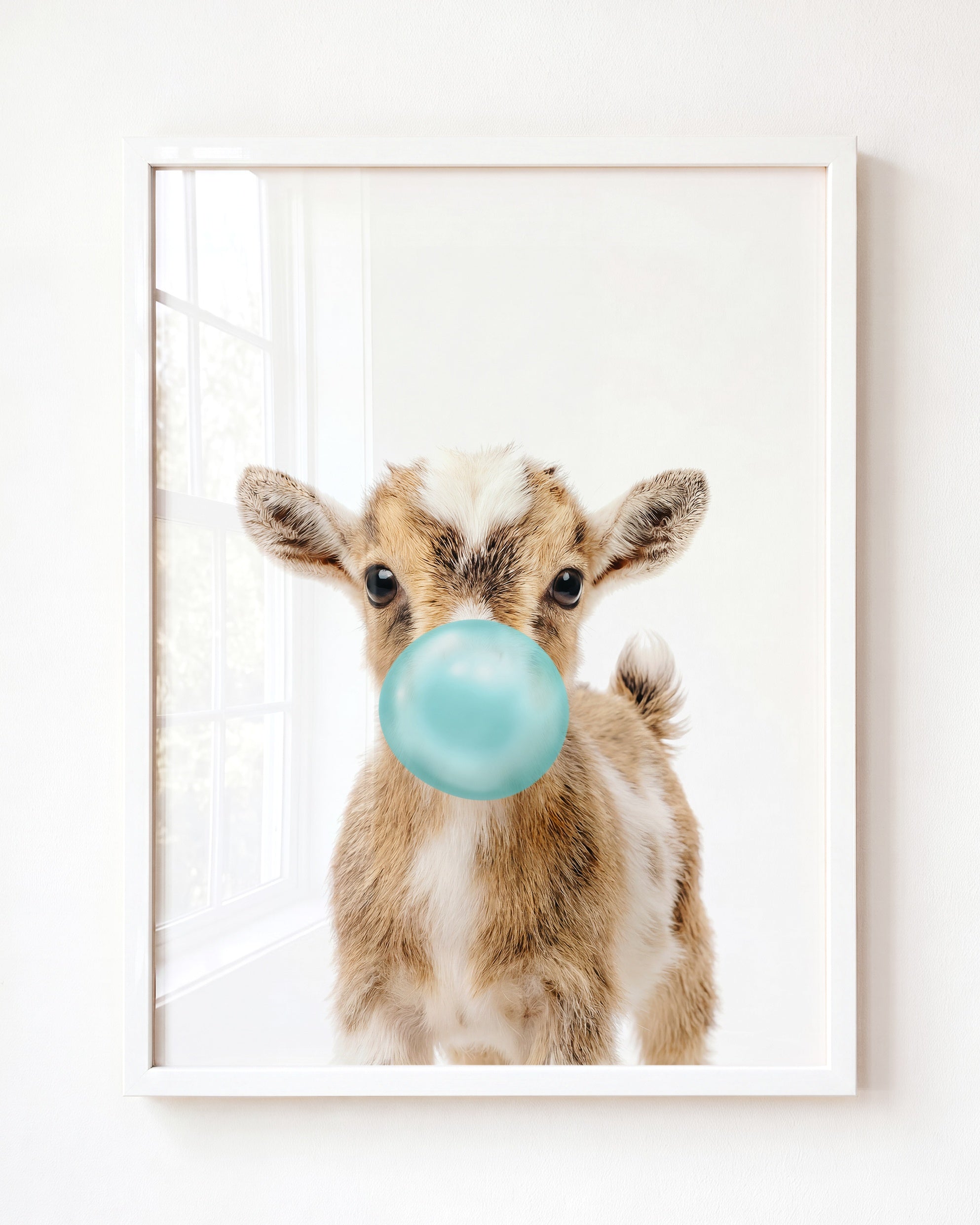 Baby Goat