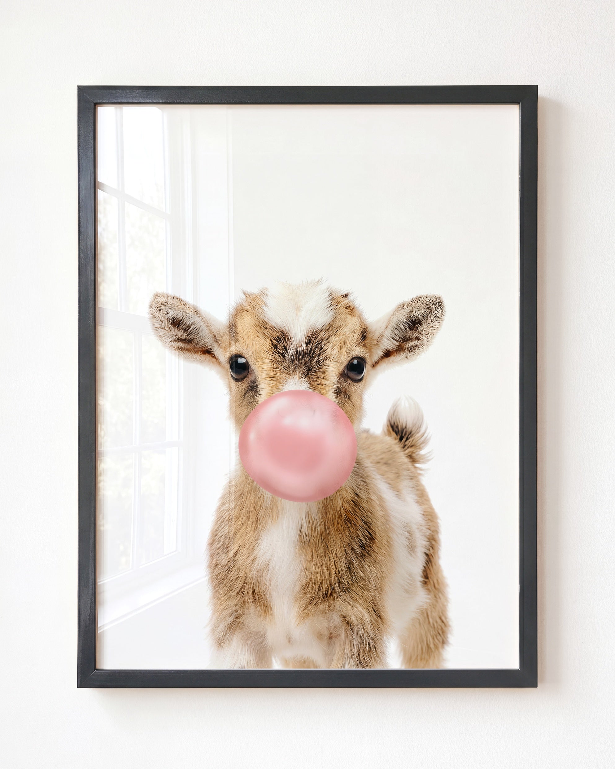 Baby Goat