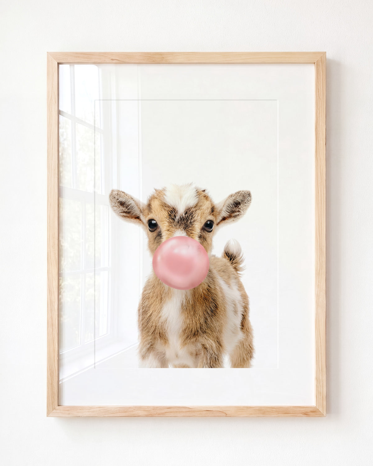 Baby Goat
