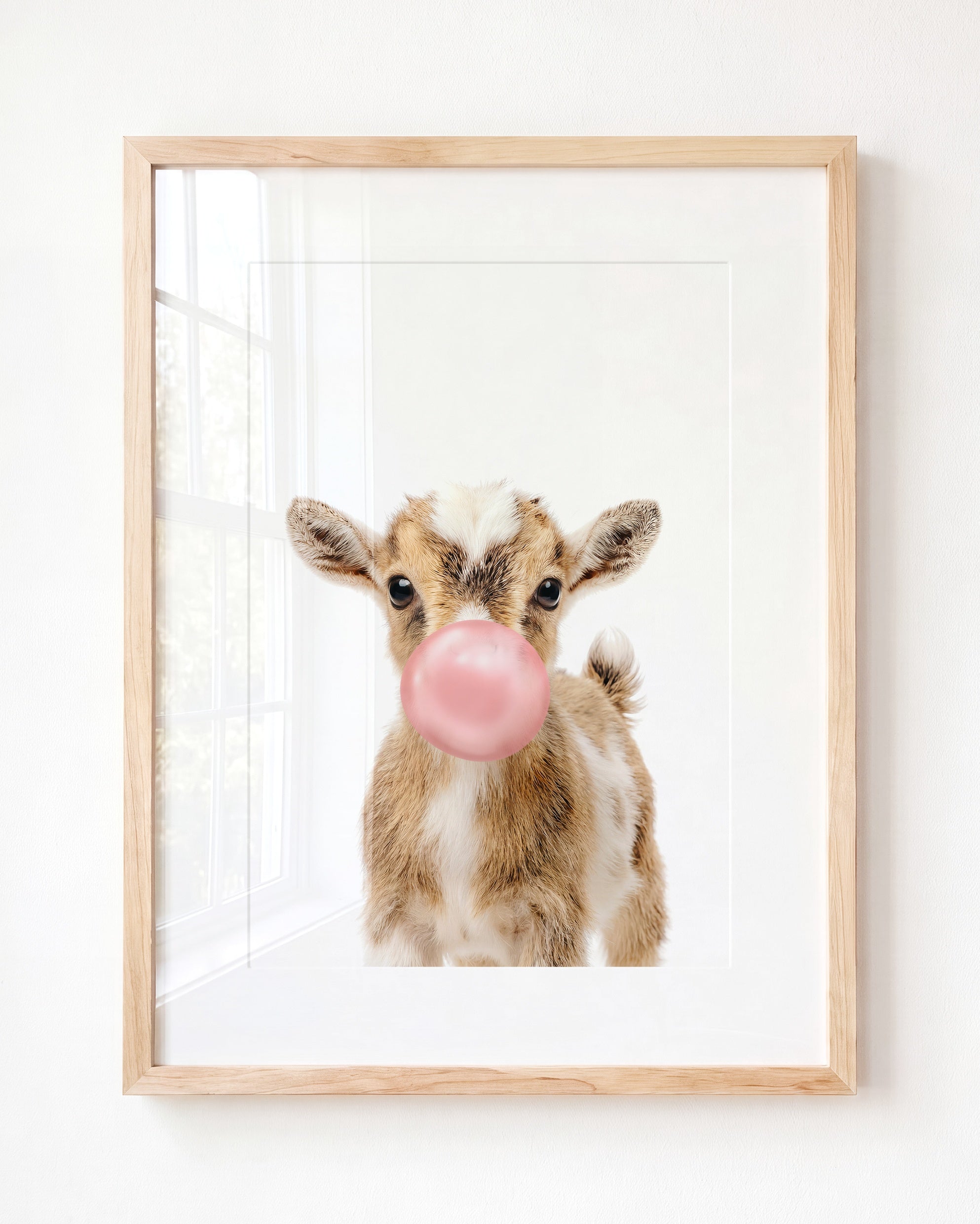 Baby Goat