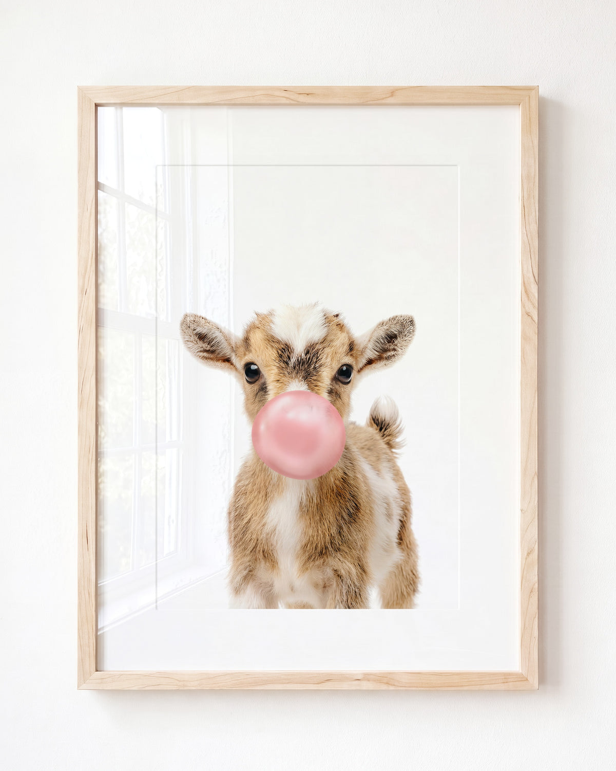 Baby Goat