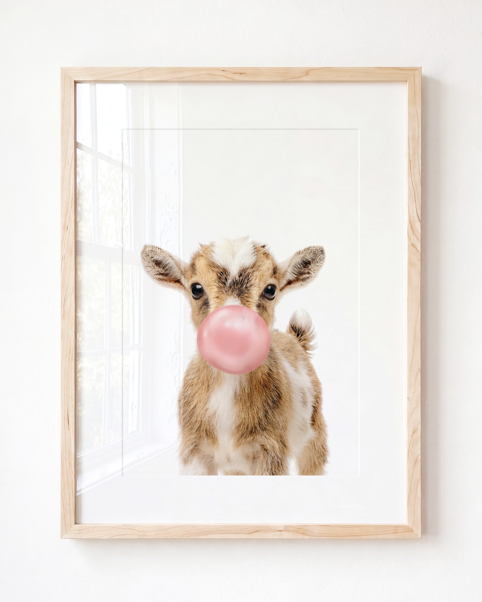 Baby Goat