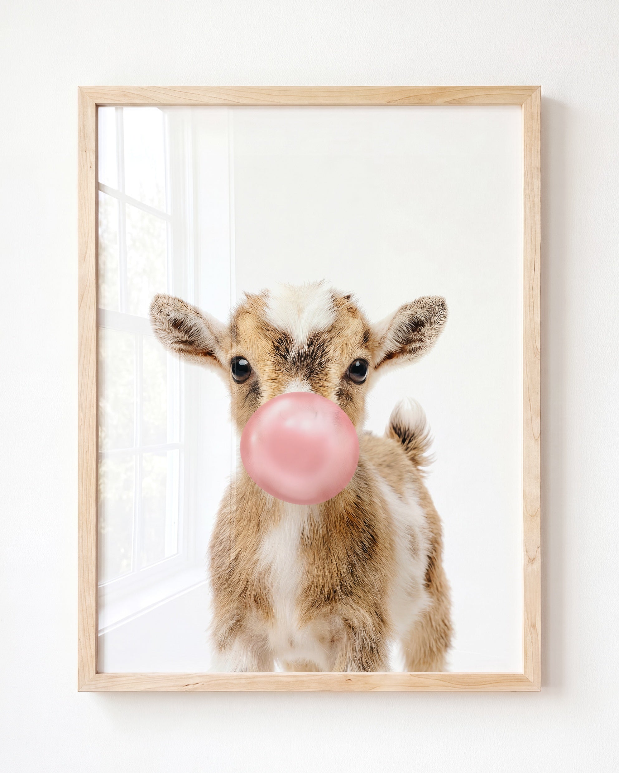 Baby Goat