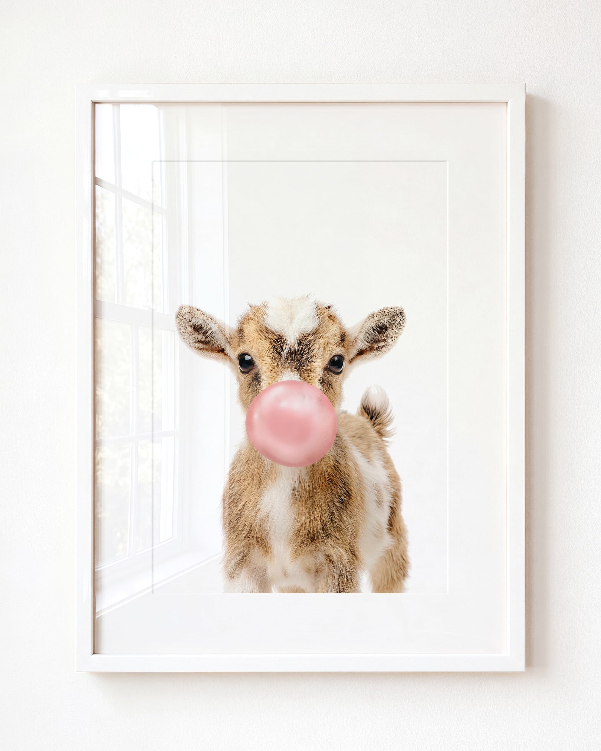 Baby Goat