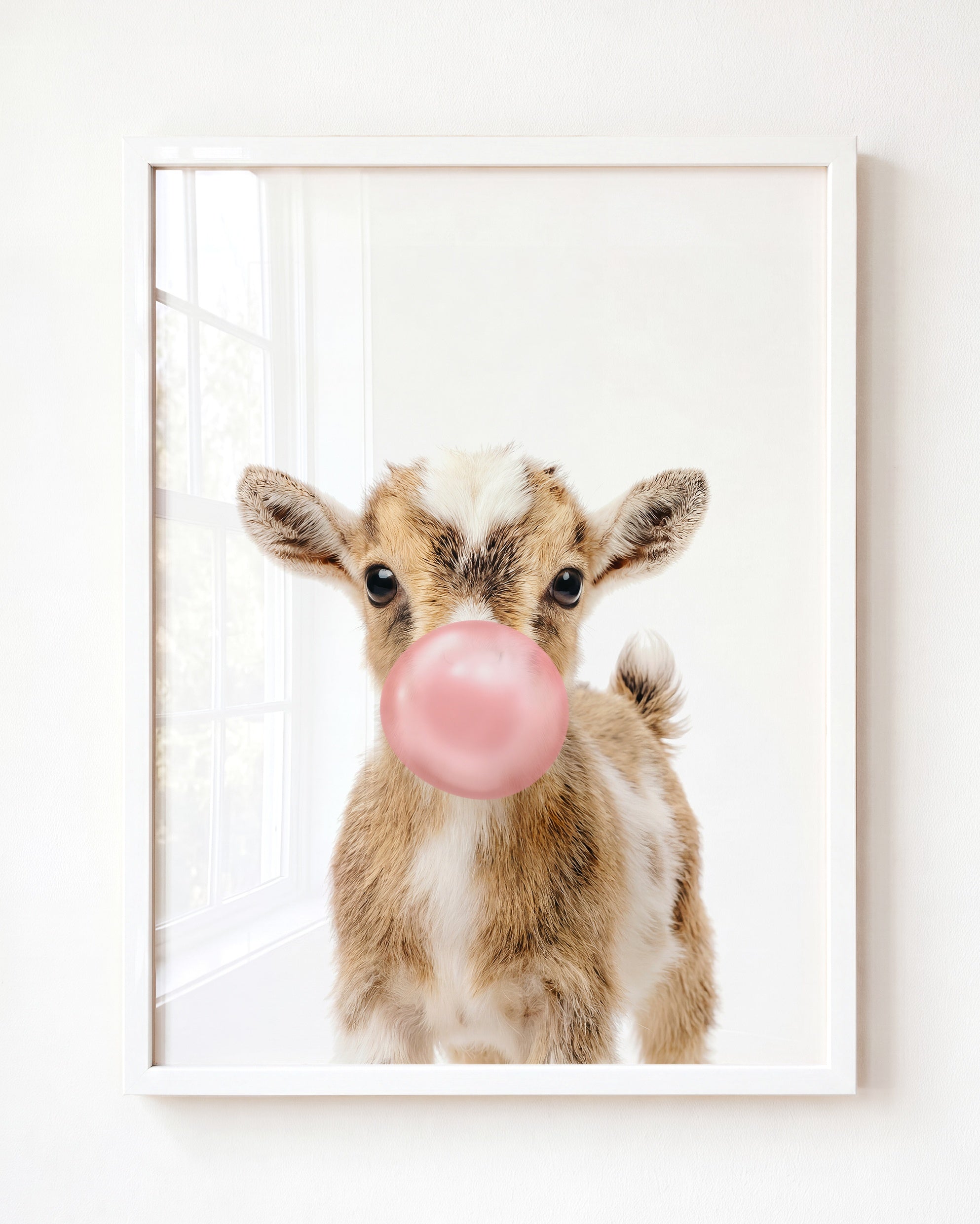 Baby Goat