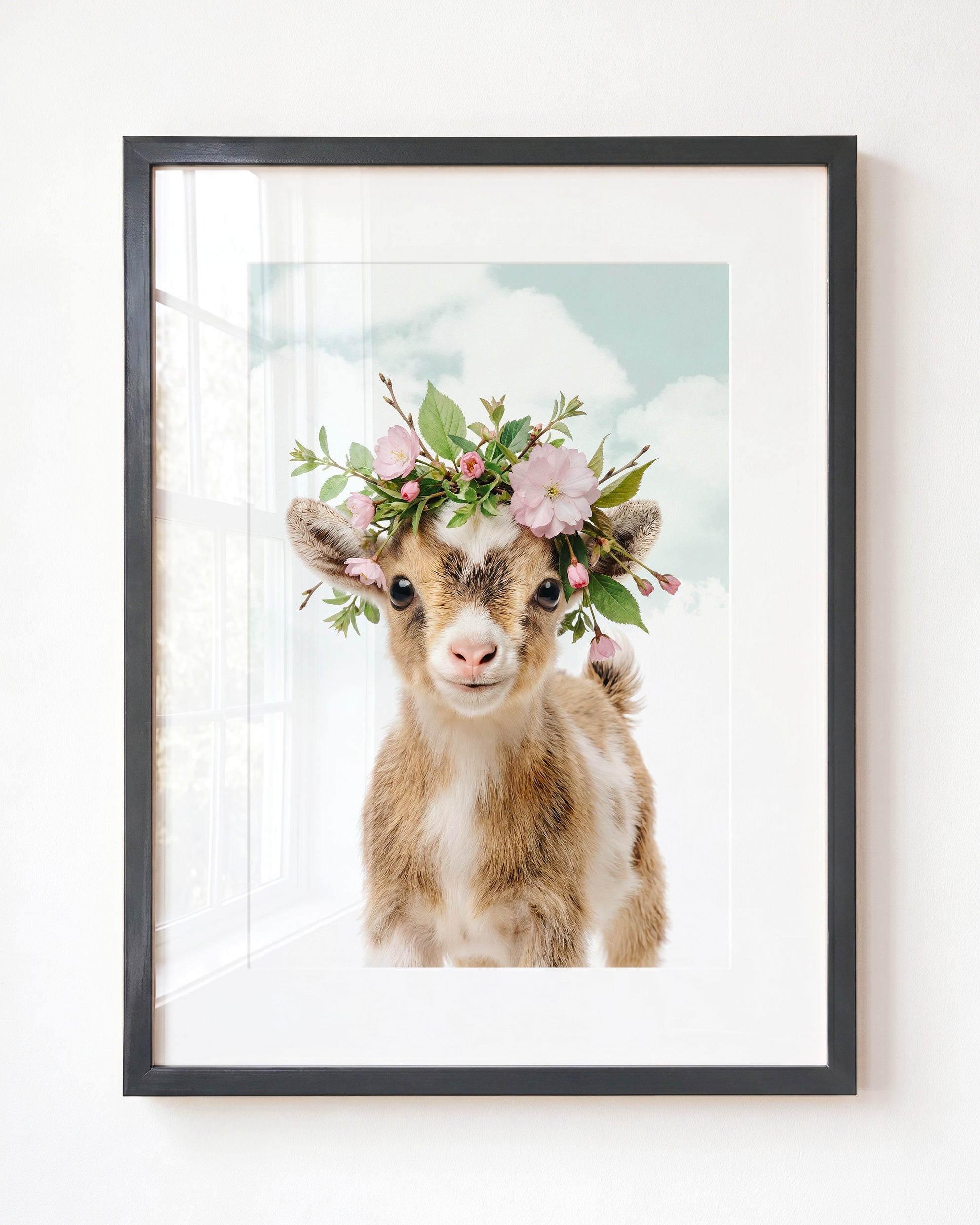 Baby Goat