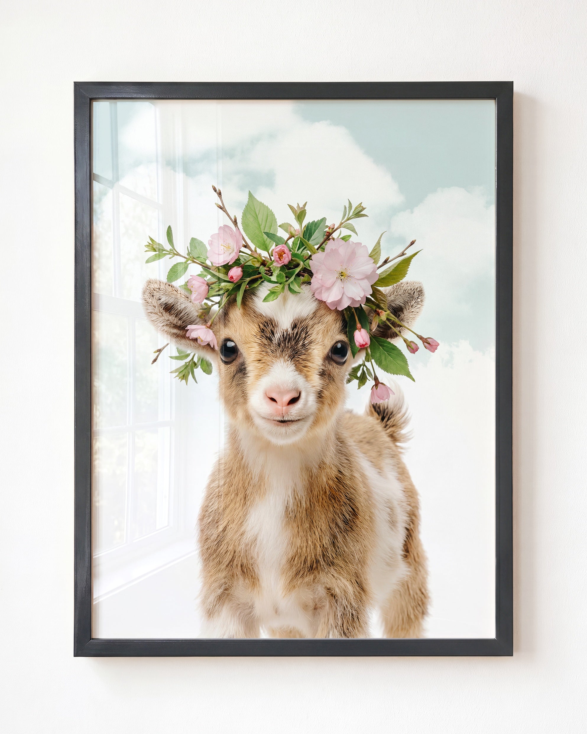 Baby Goat