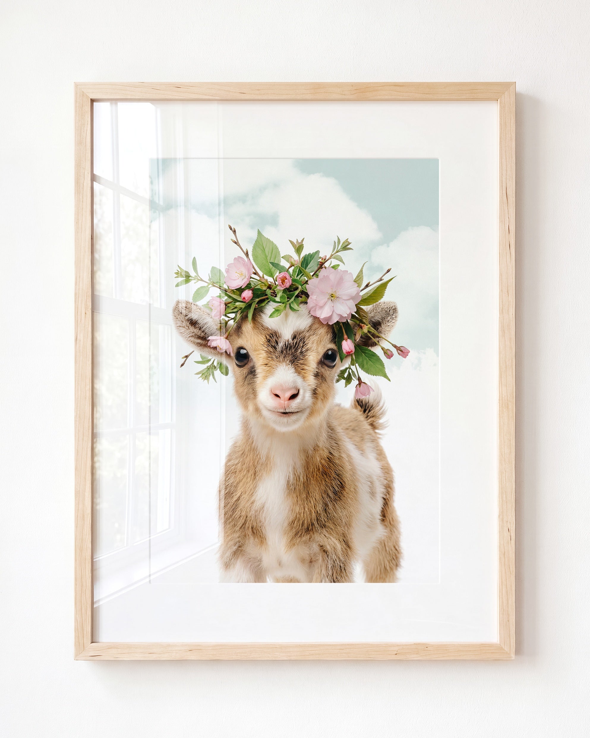 Baby Goat