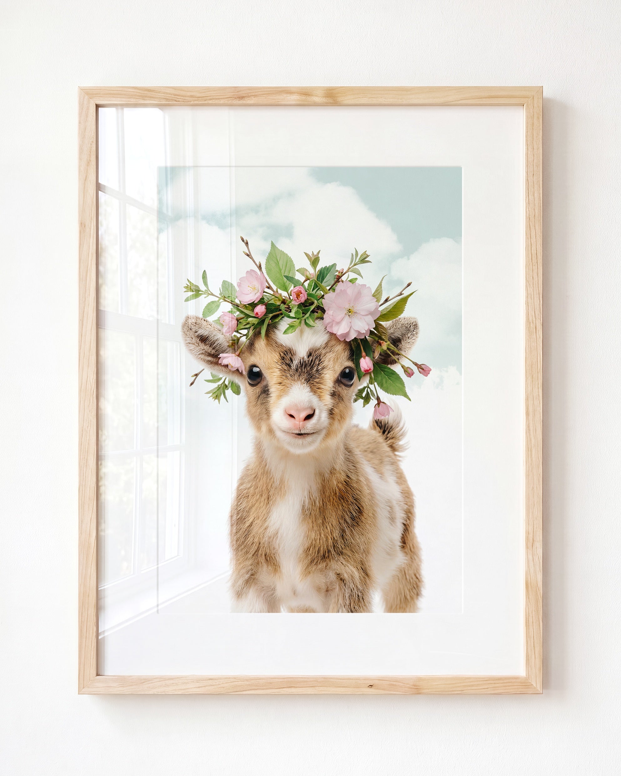 Baby Goat