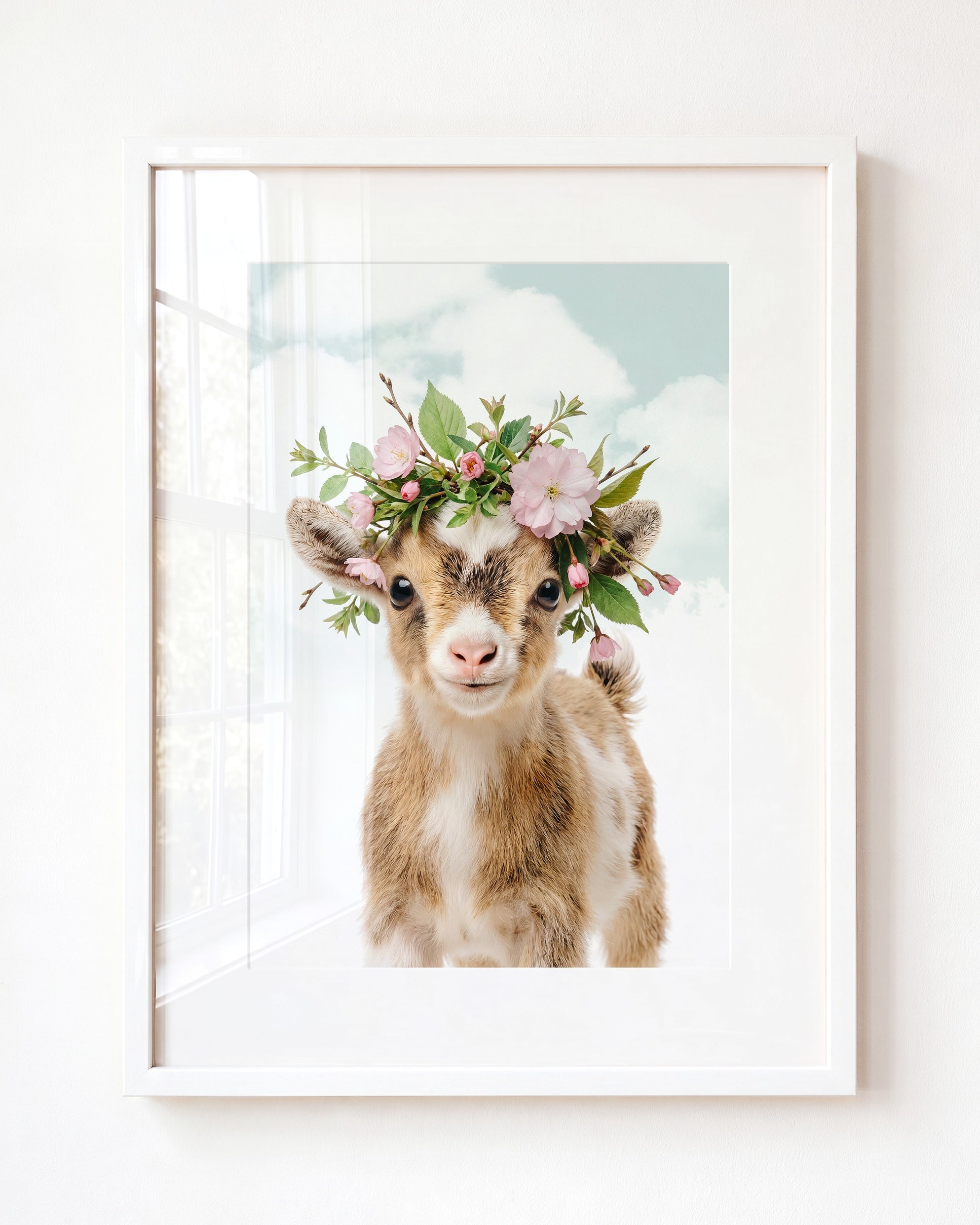 Baby Goat
