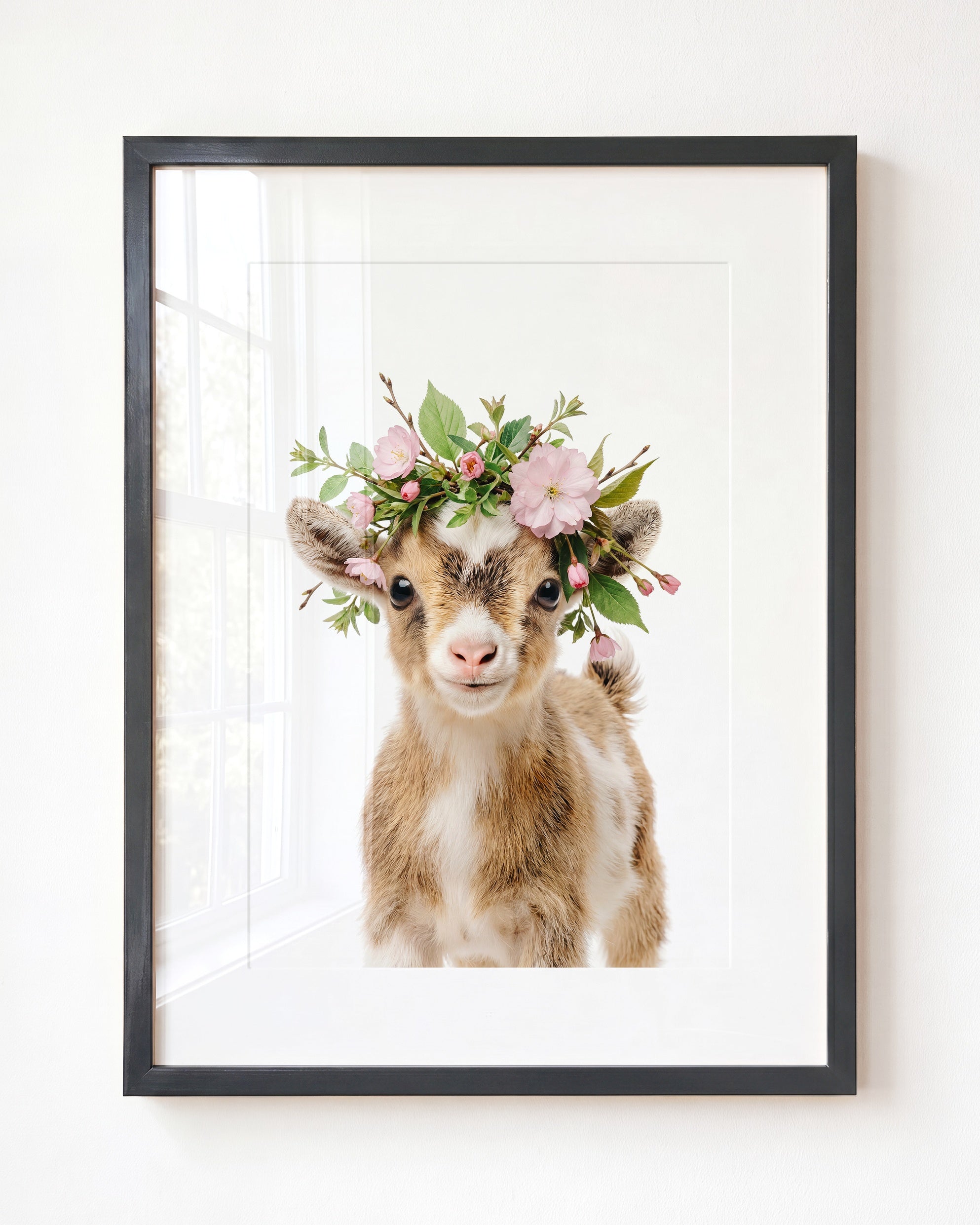 Baby Goat