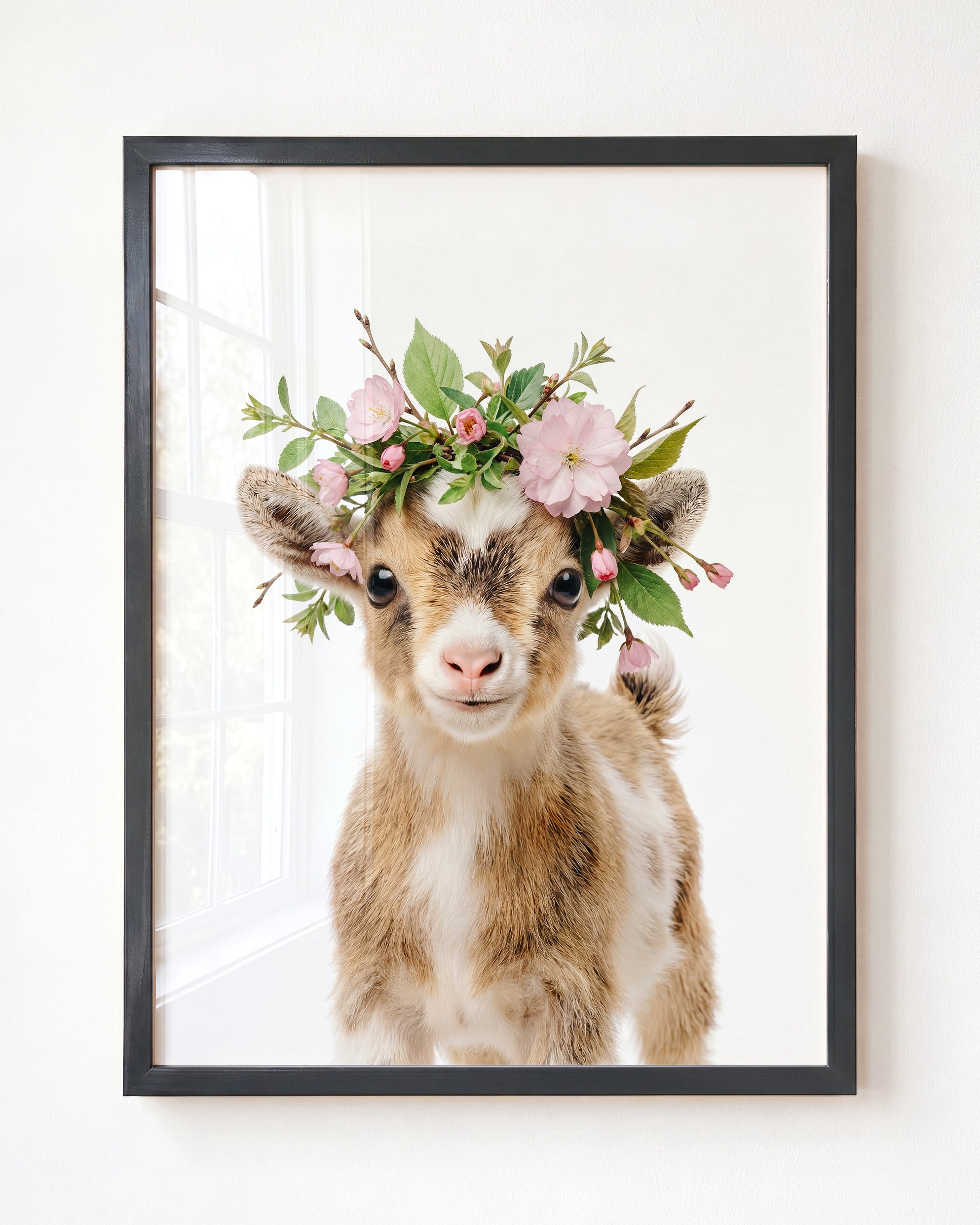 Baby Goat
