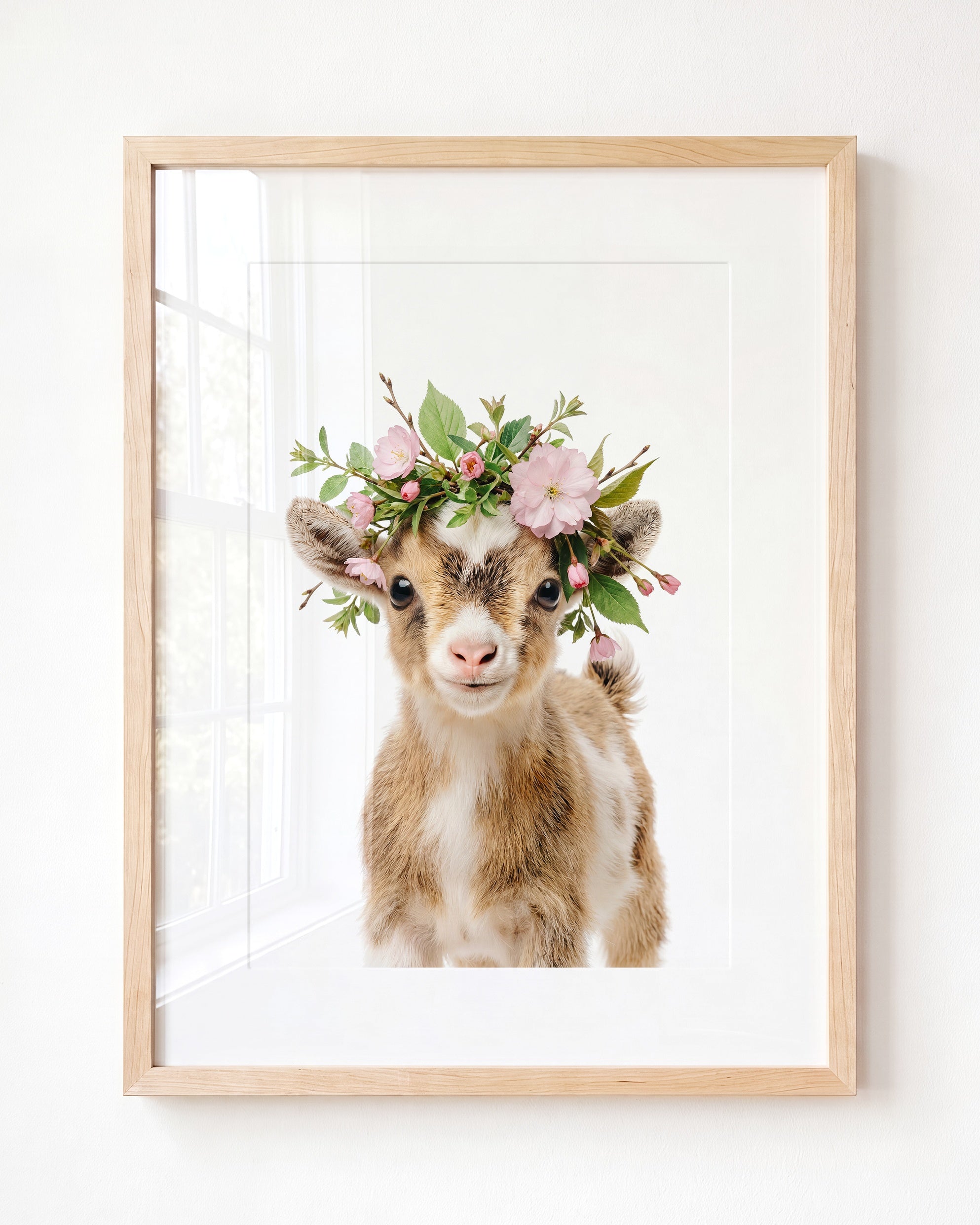 Baby Goat