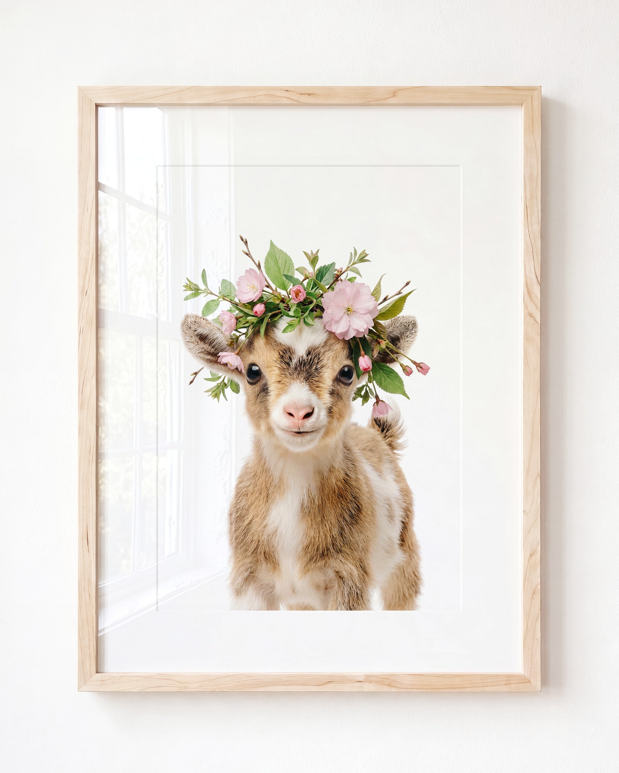 Baby Goat