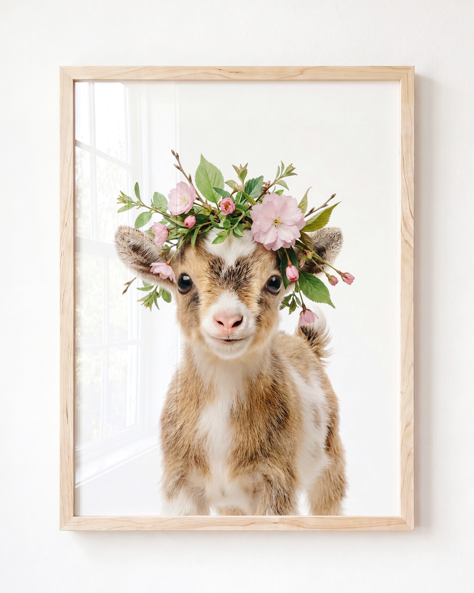 Baby Goat
