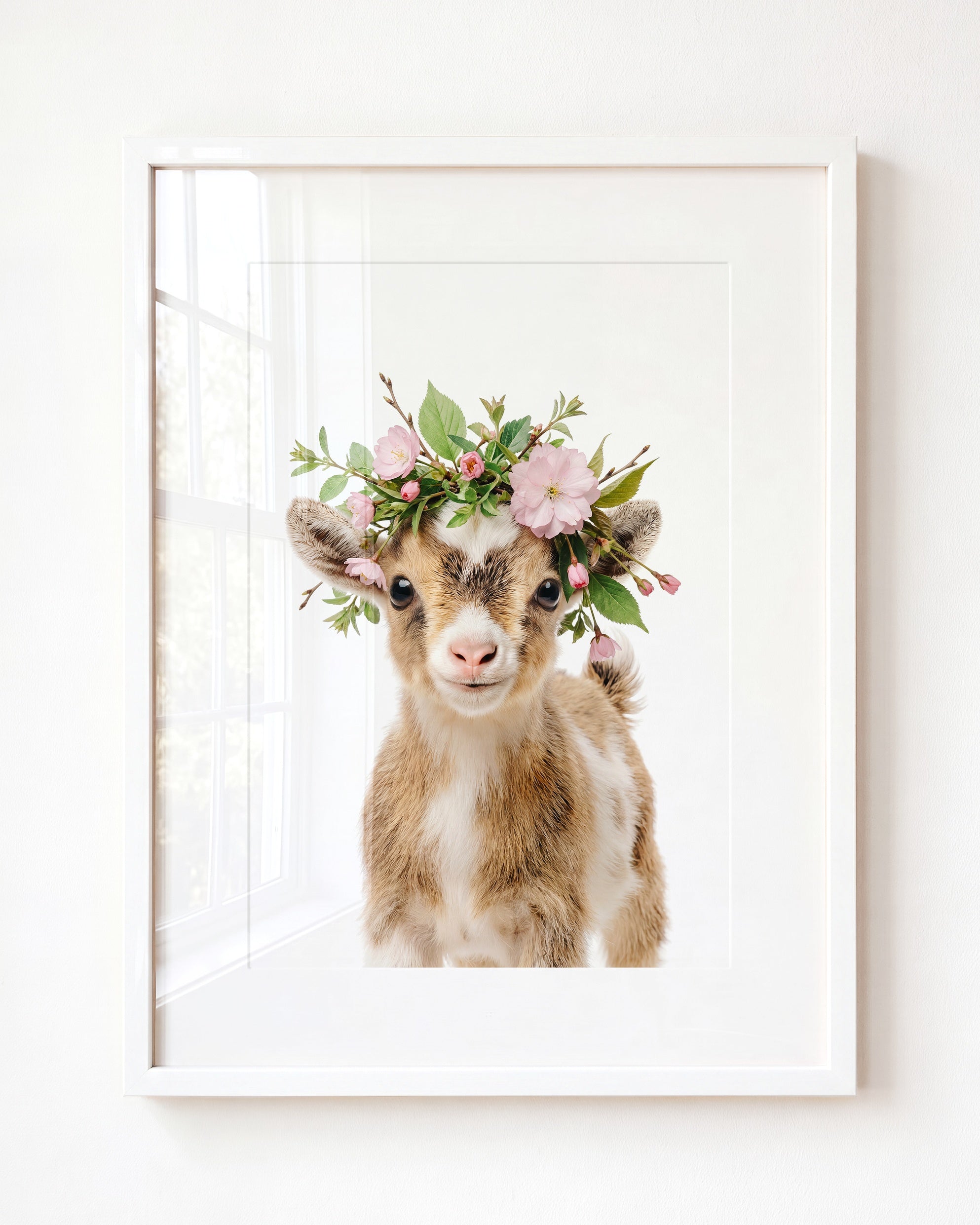 Baby Goat