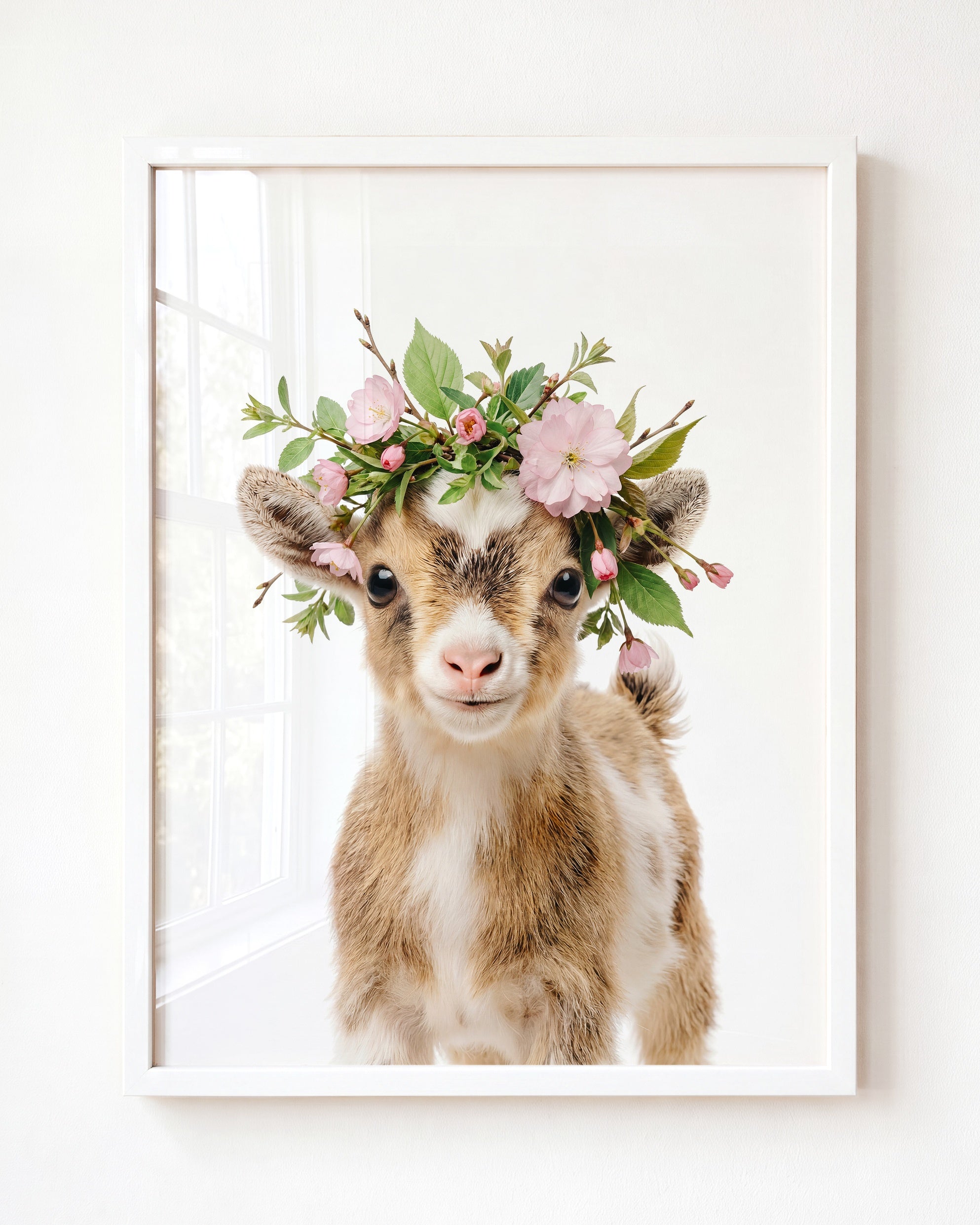 Baby Goat