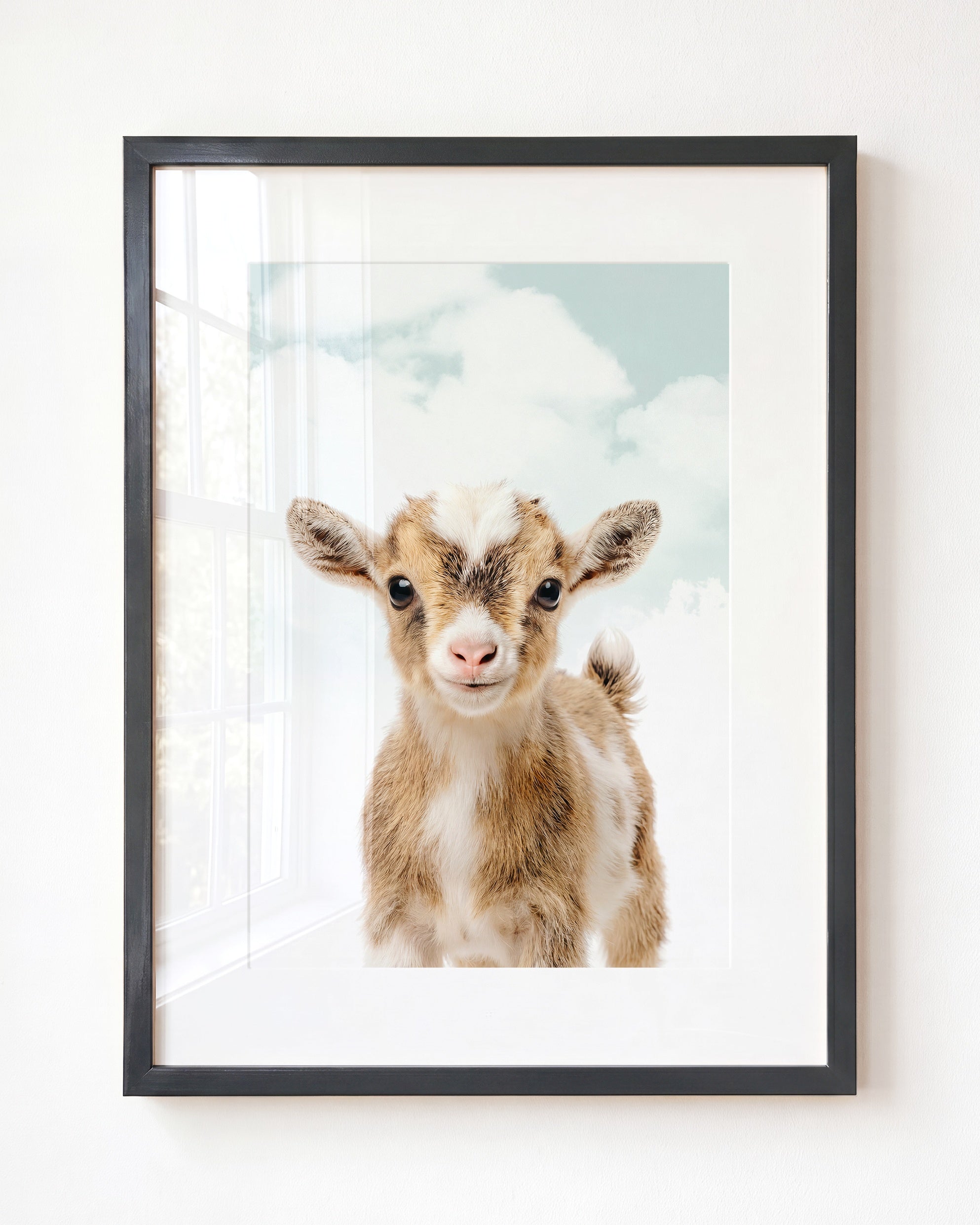 Baby Goat