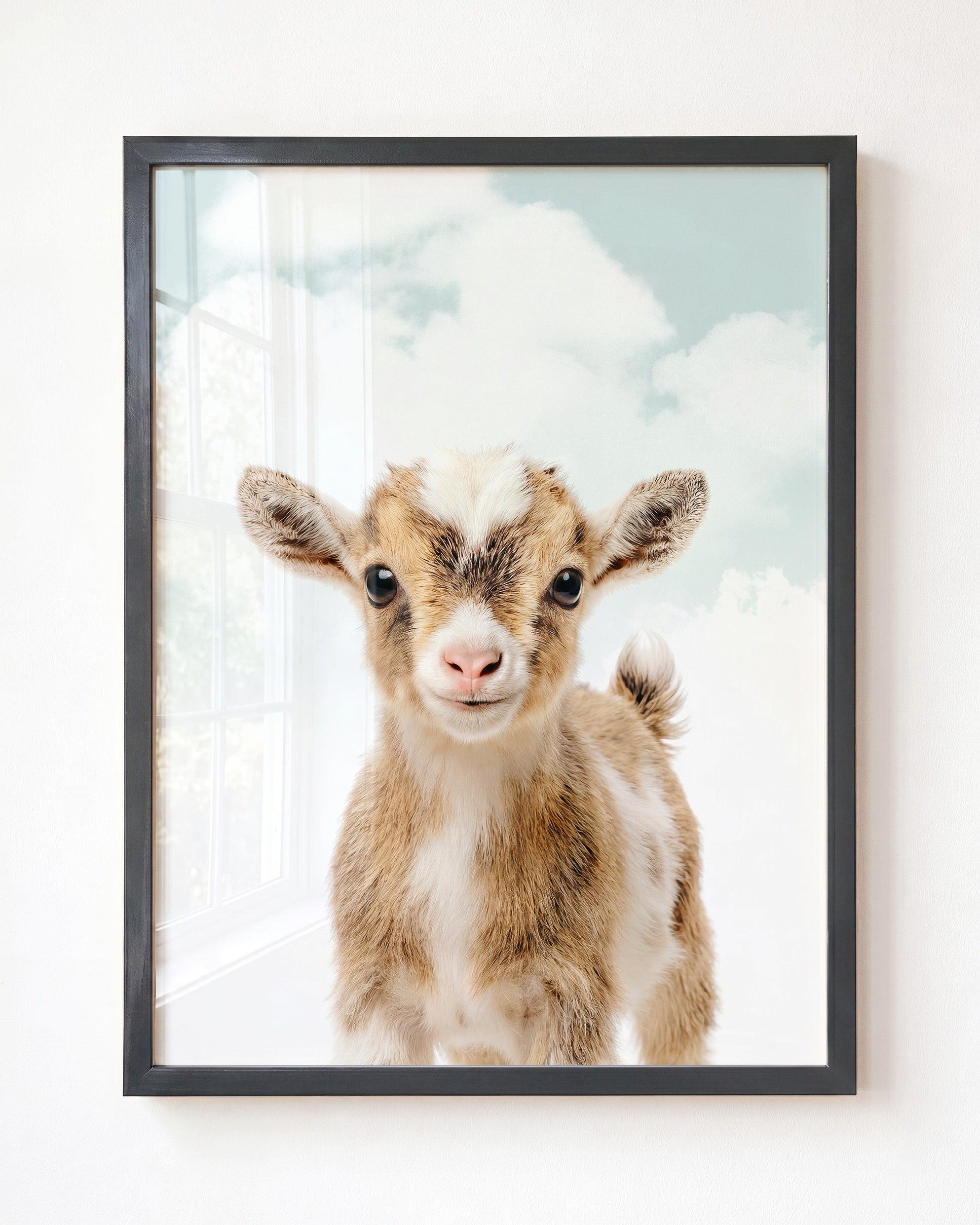 Baby Goat