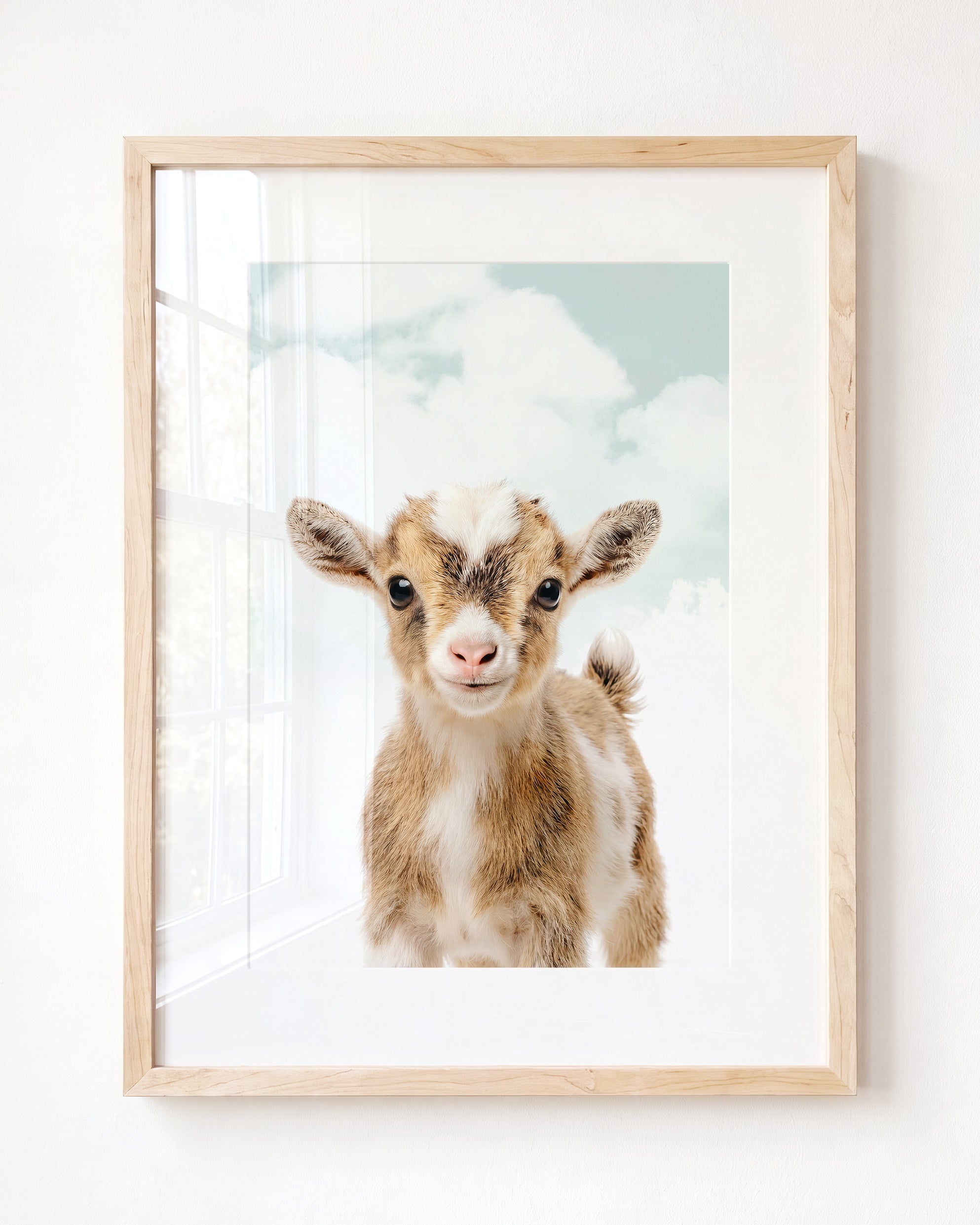 Baby Goat