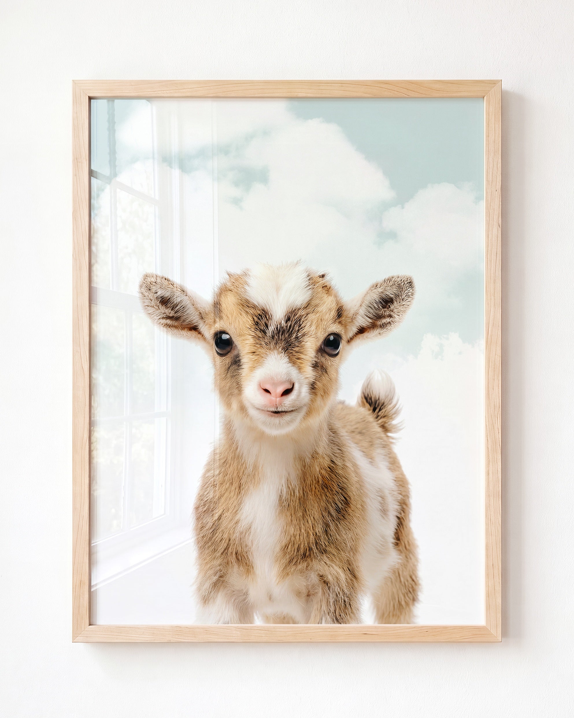 Baby Goat