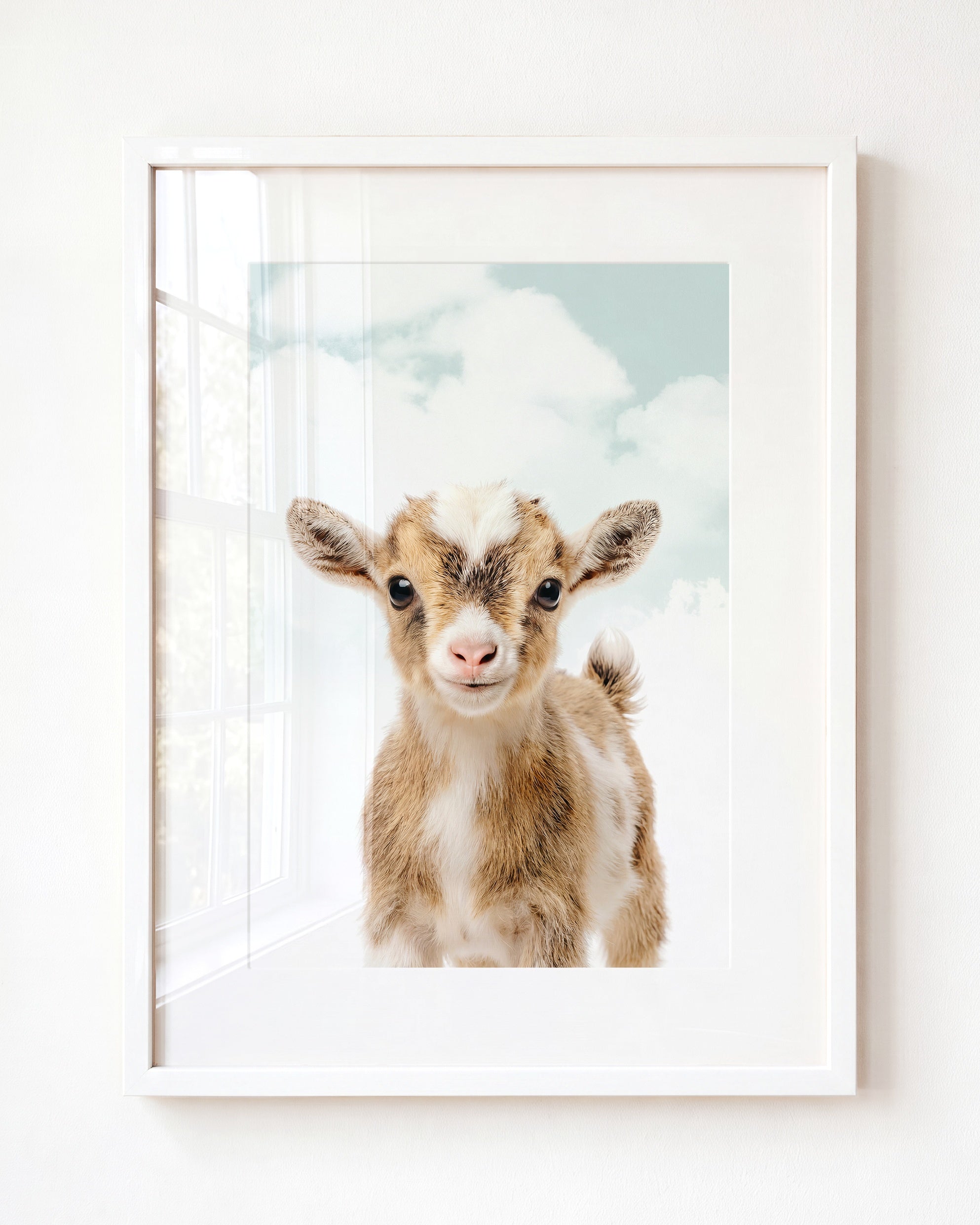 Baby Goat