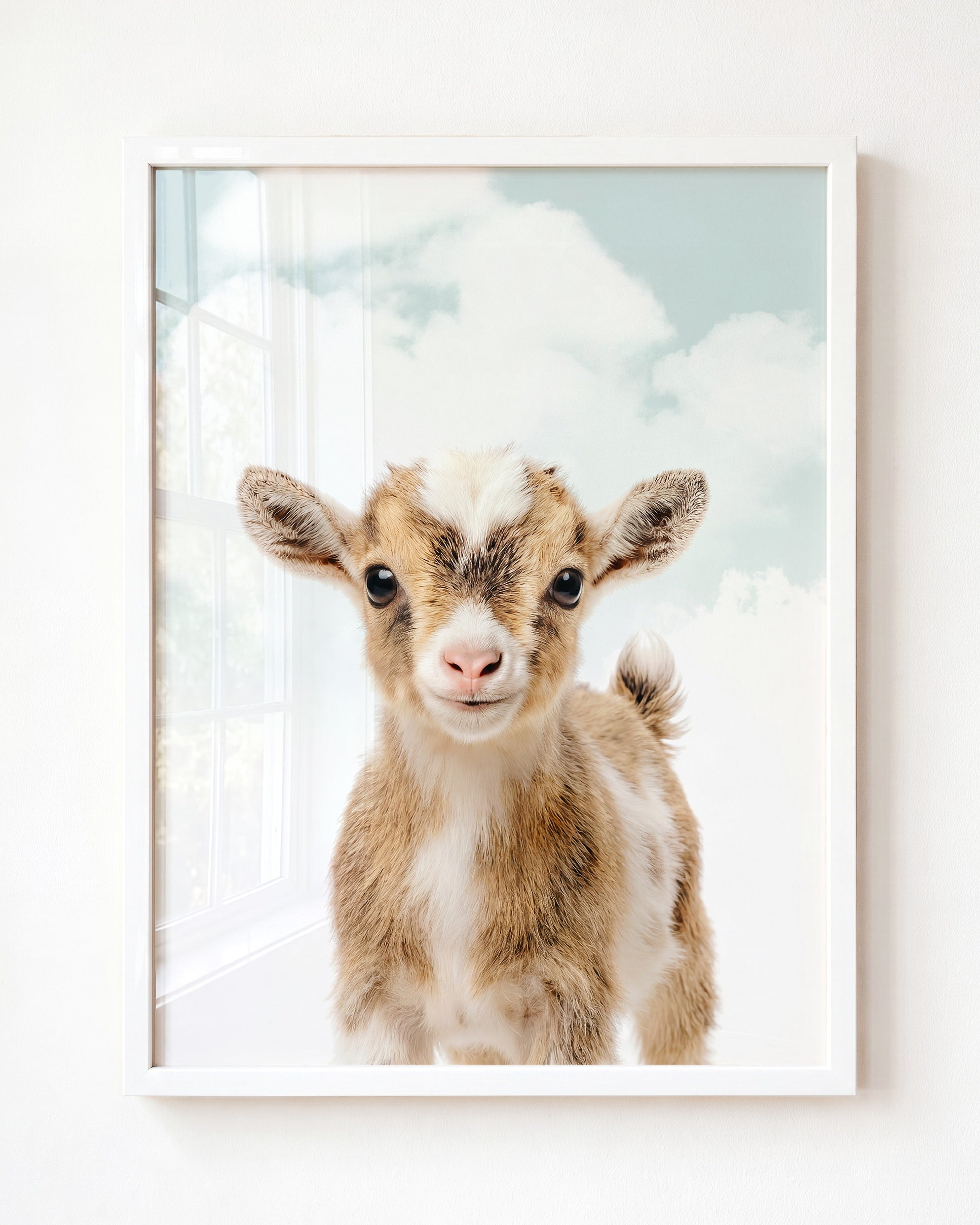 Baby Goat