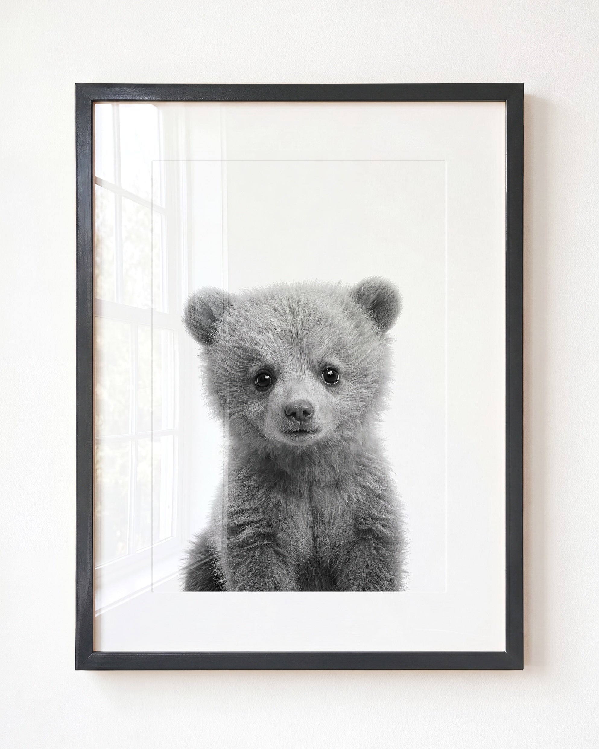 Baby Grizzly Bear