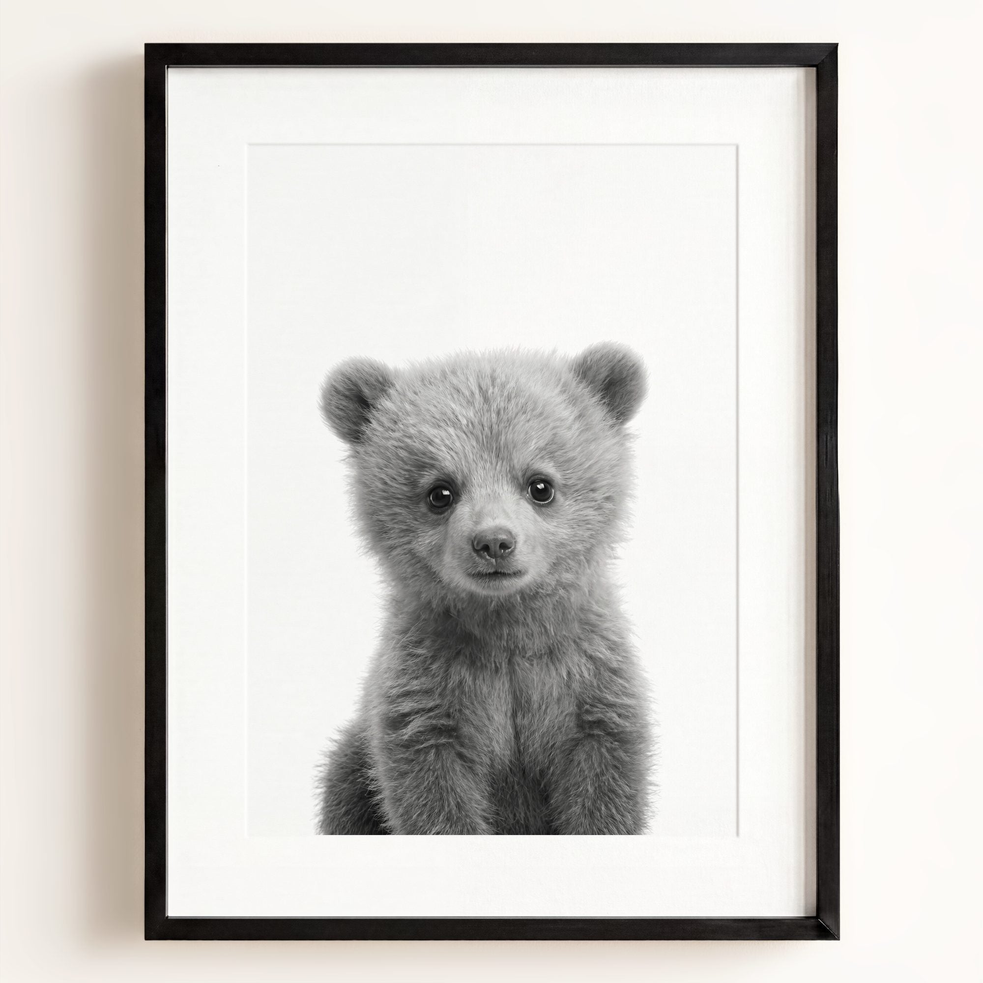Baby Grizzly Bear