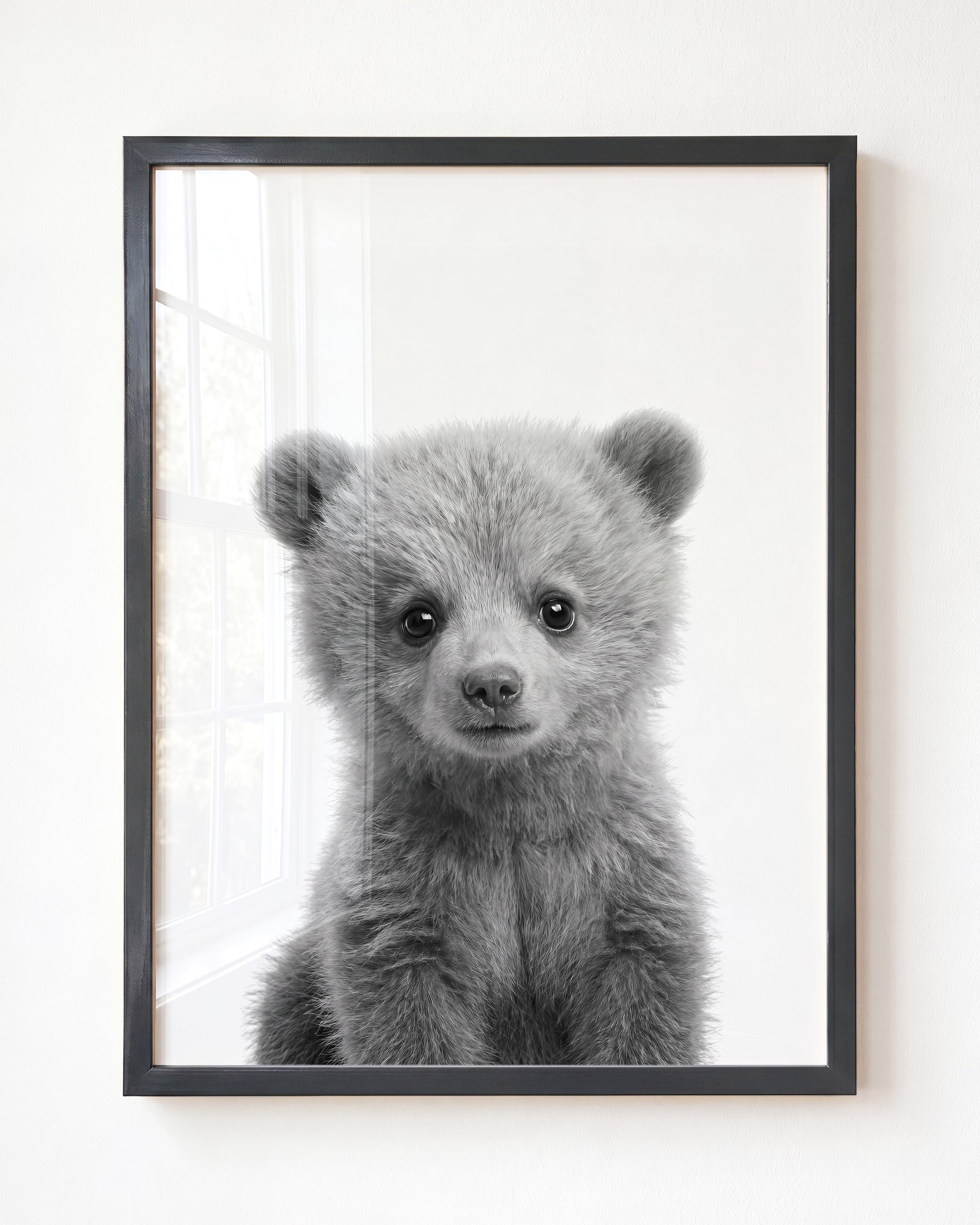 Baby Grizzly Bear