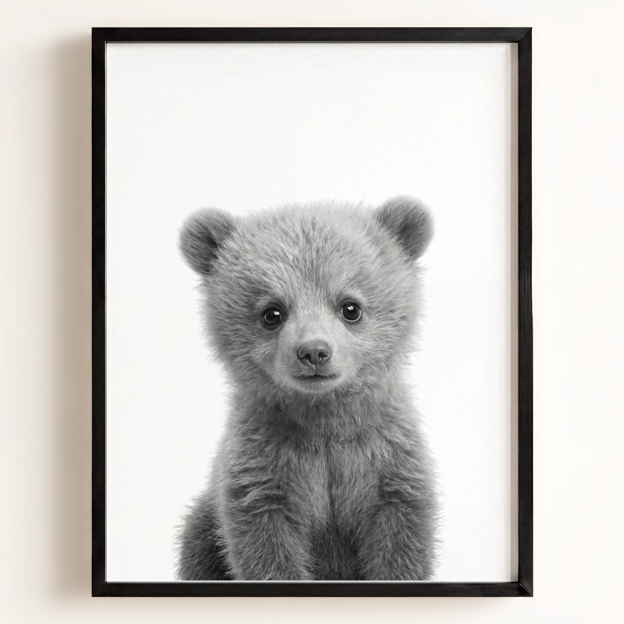 Baby Grizzly Bear