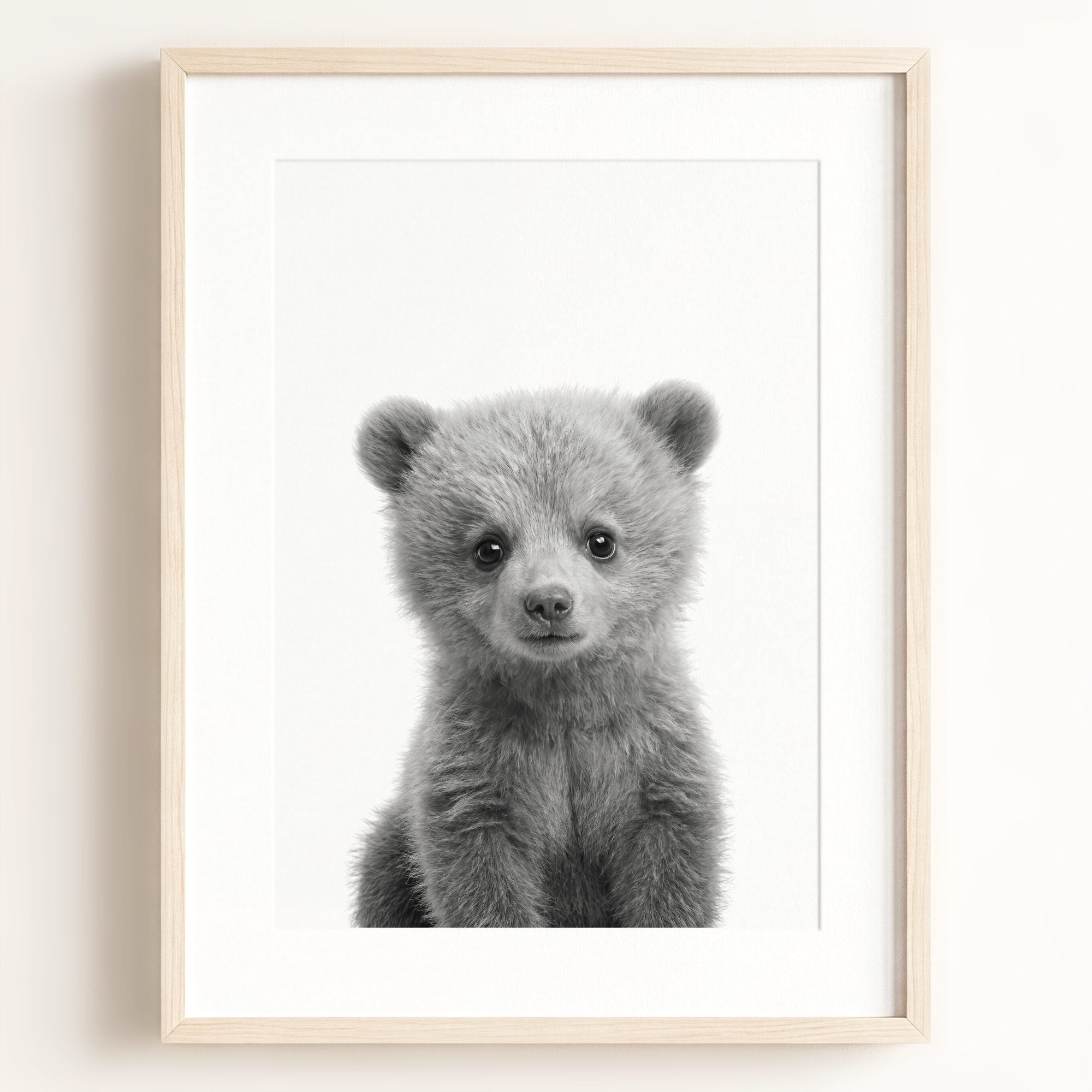 Baby Grizzly Bear
