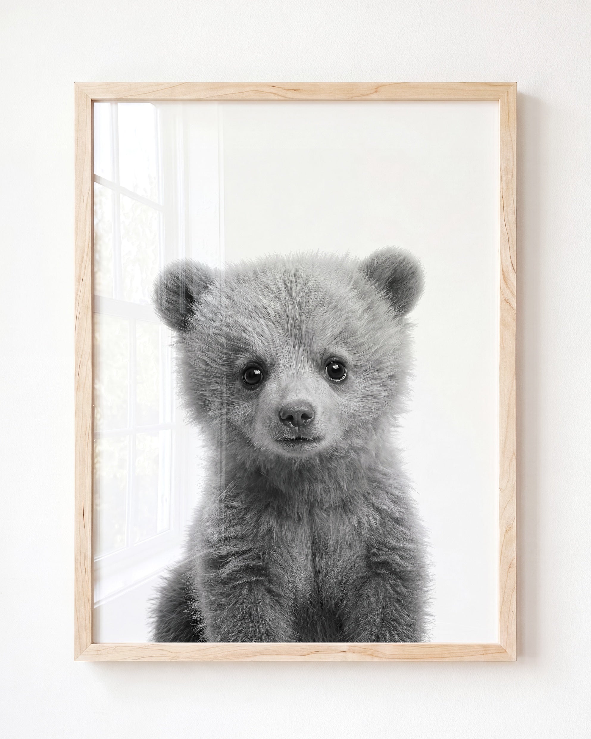 Baby Grizzly Bear