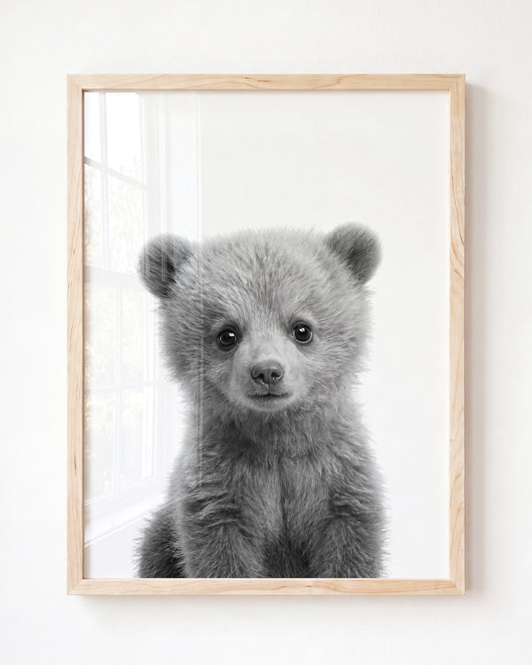 Baby Grizzly Bear — Framed Art
