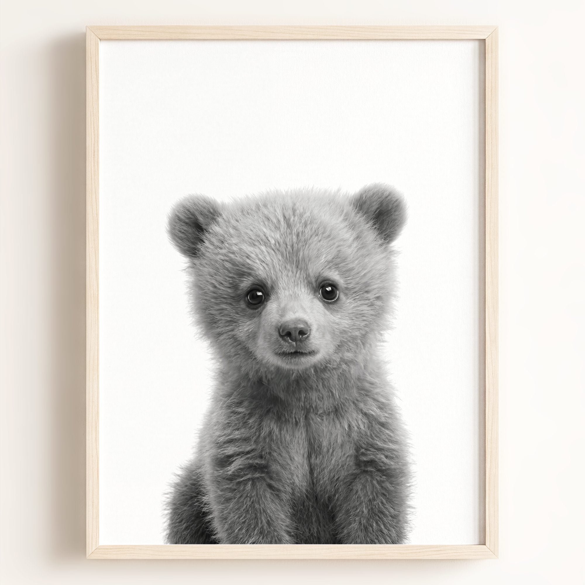 Baby Grizzly Bear