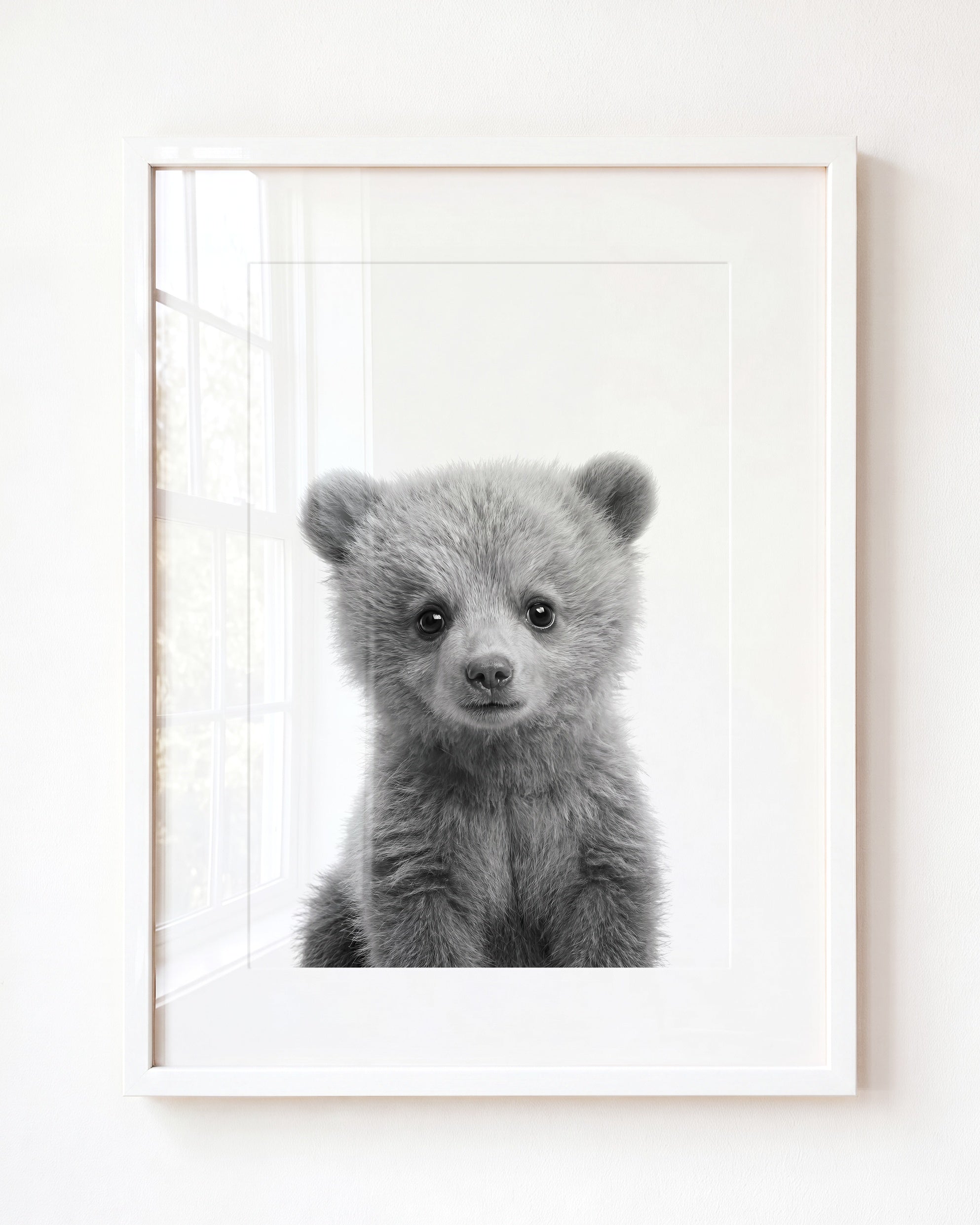 Baby Grizzly Bear