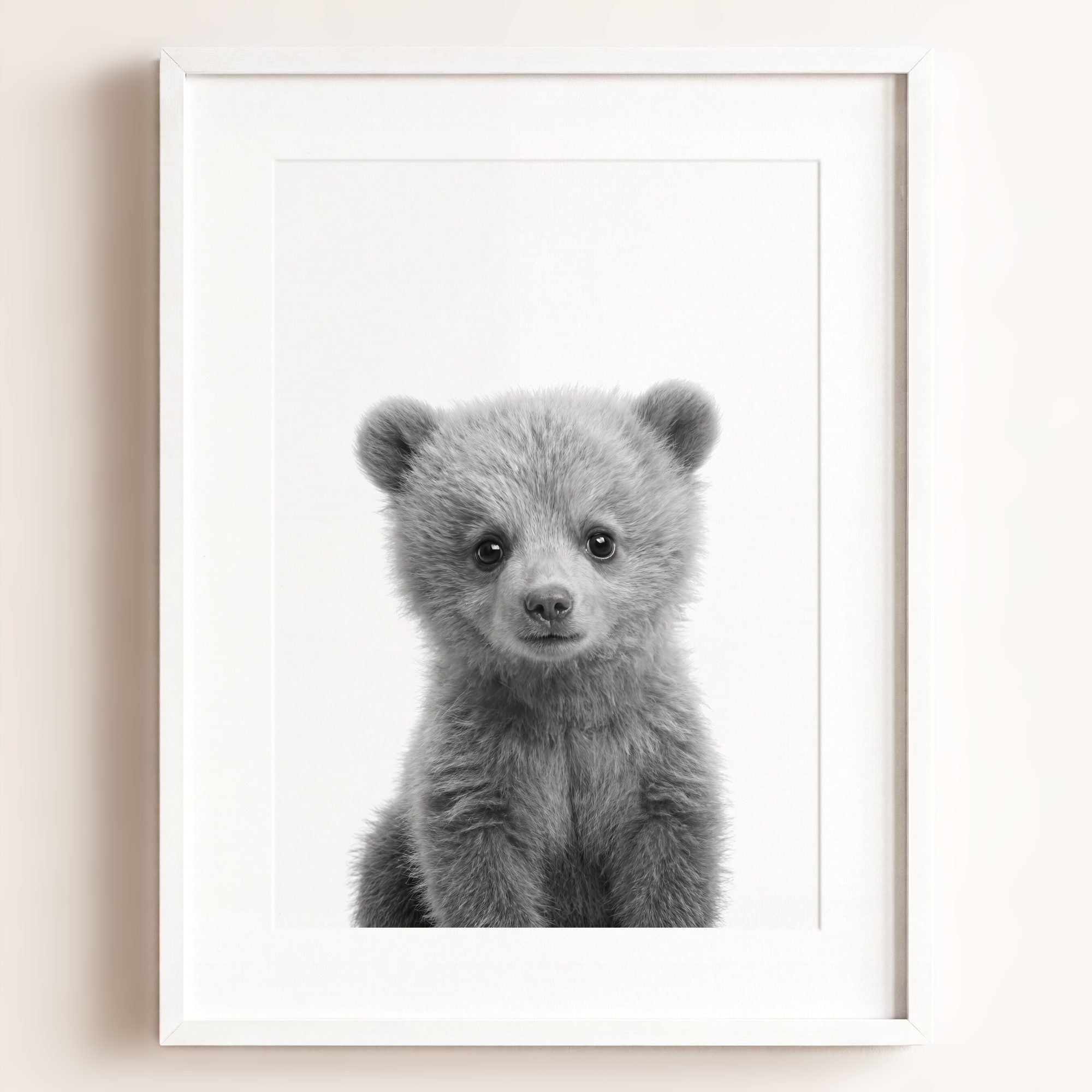 Baby Grizzly Bear