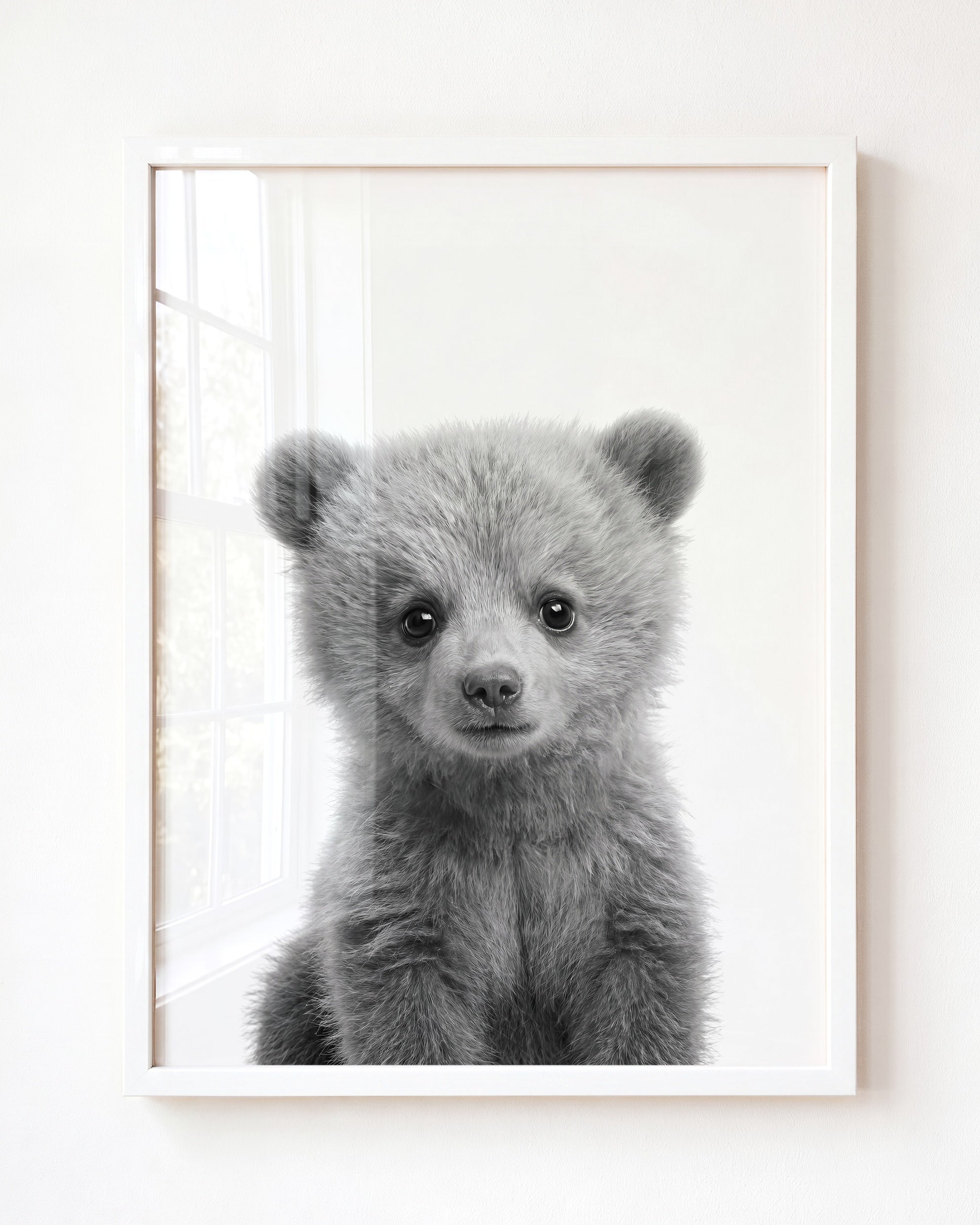Baby Grizzly Bear