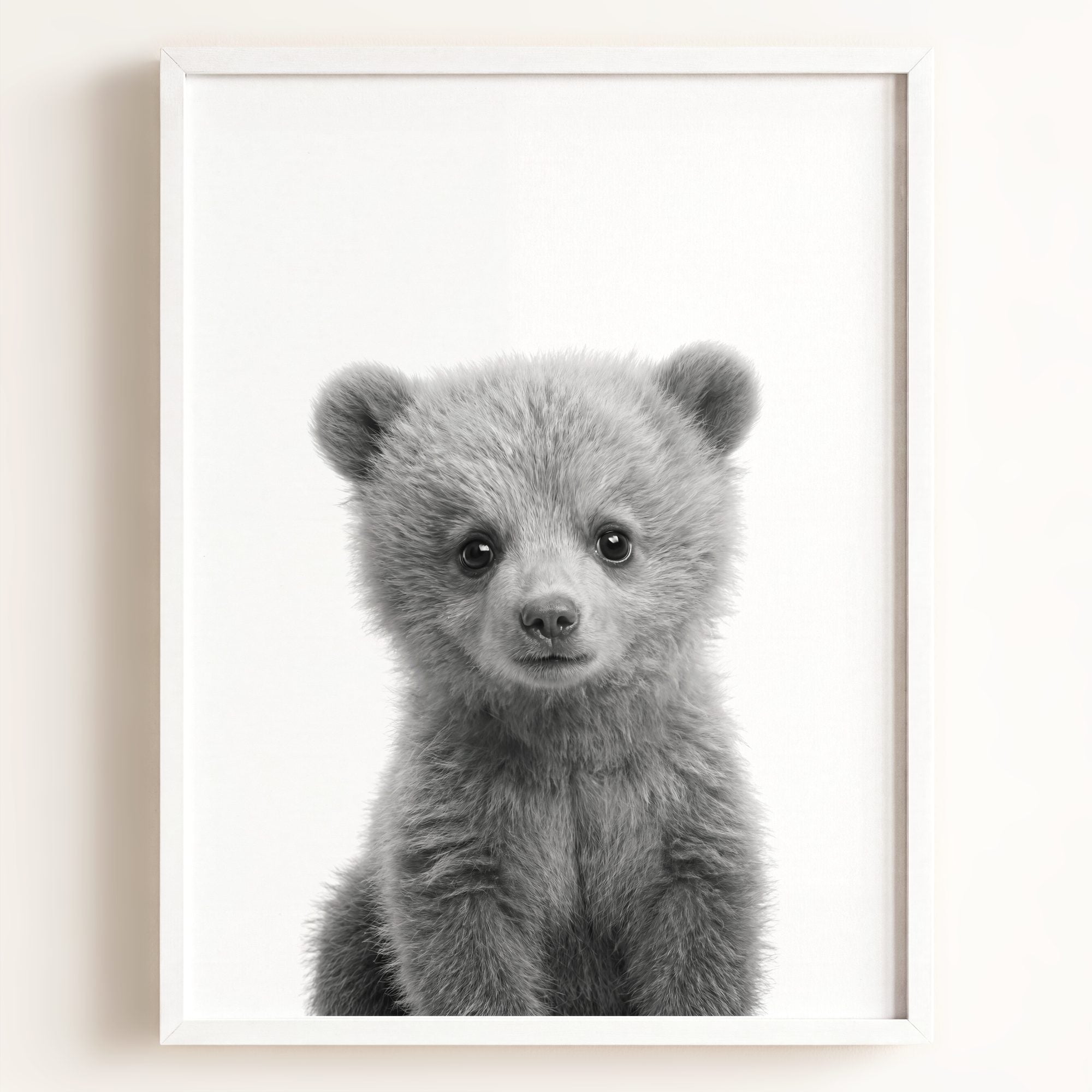 Baby Grizzly Bear