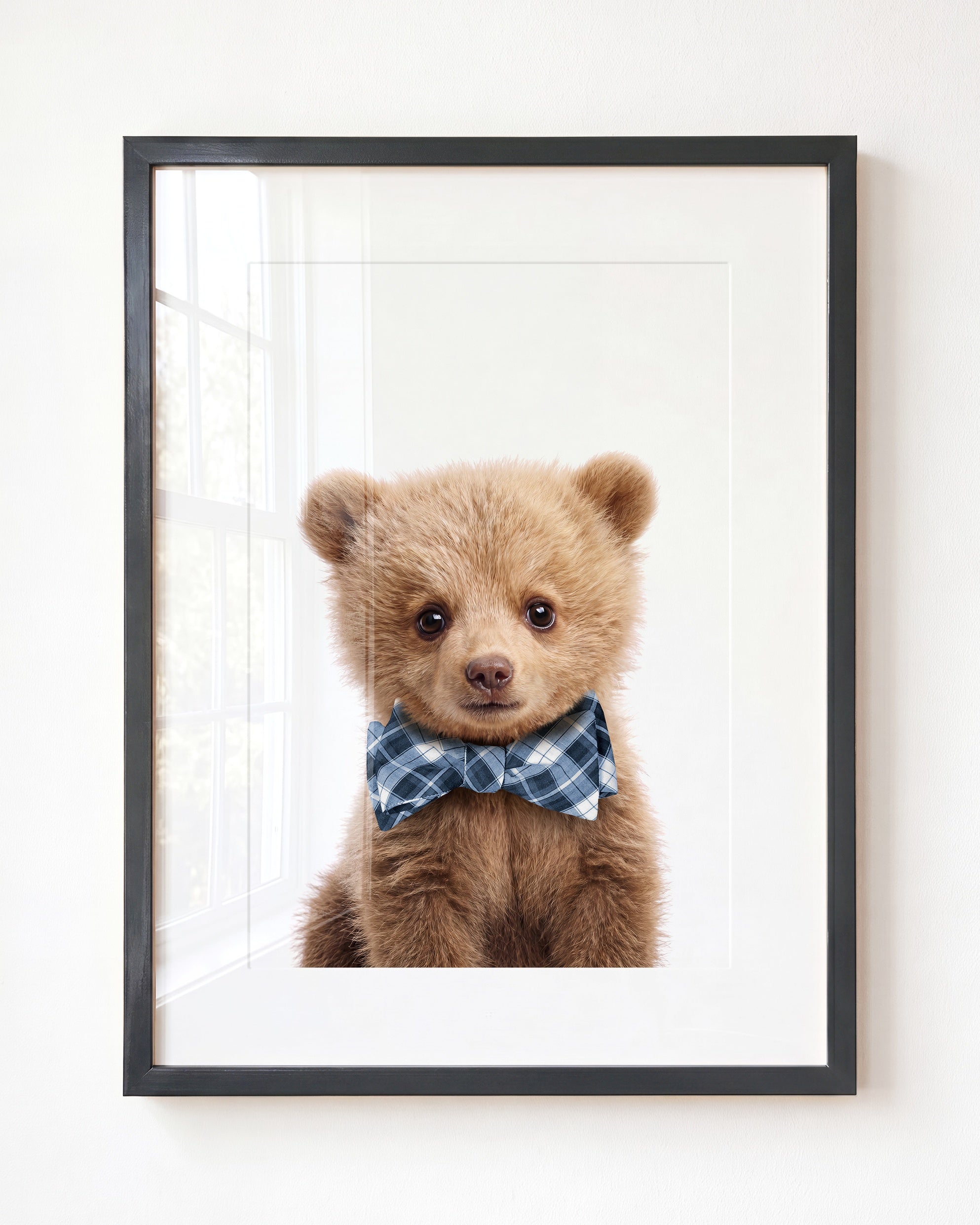 Baby Grizzly Bear