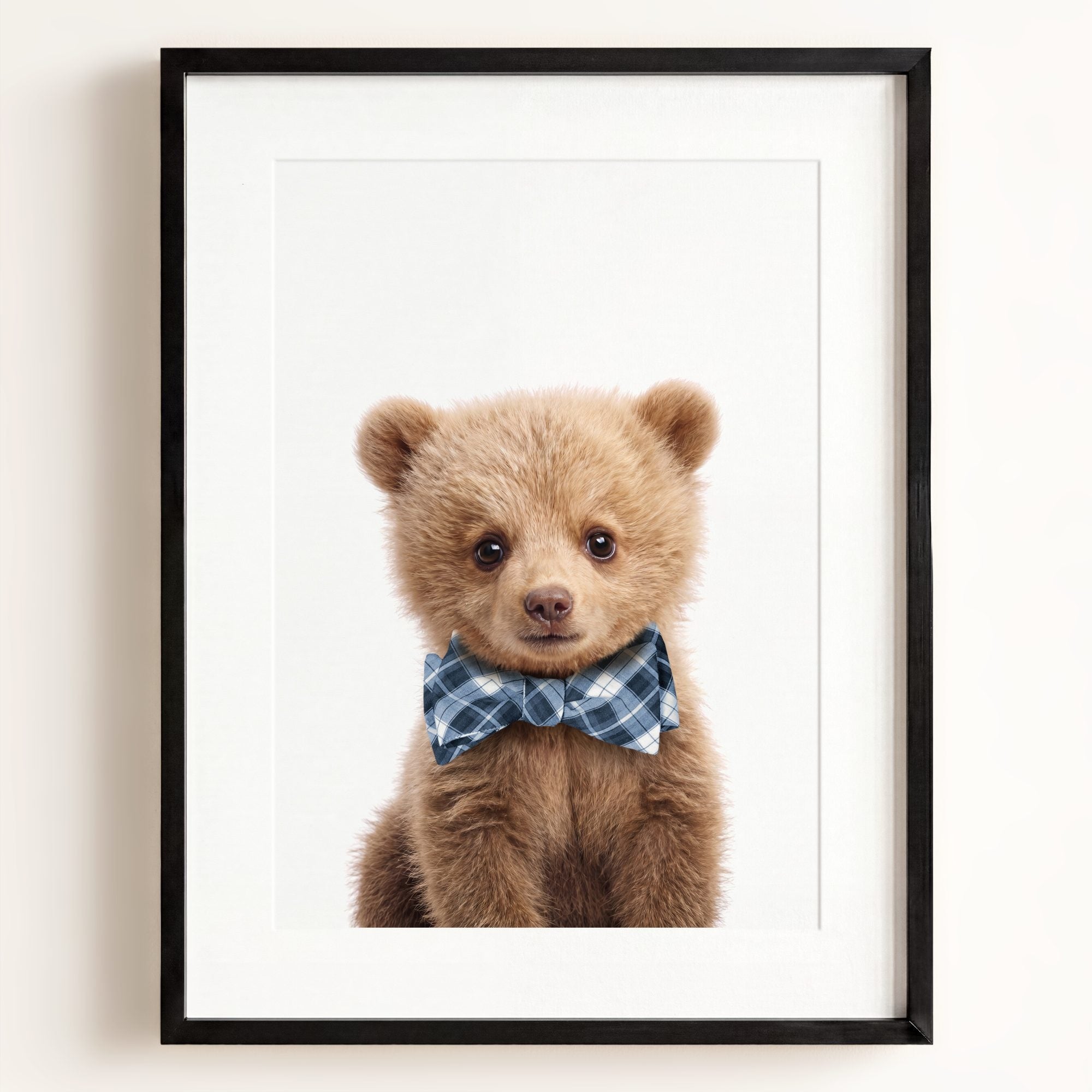 Baby Grizzly Bear